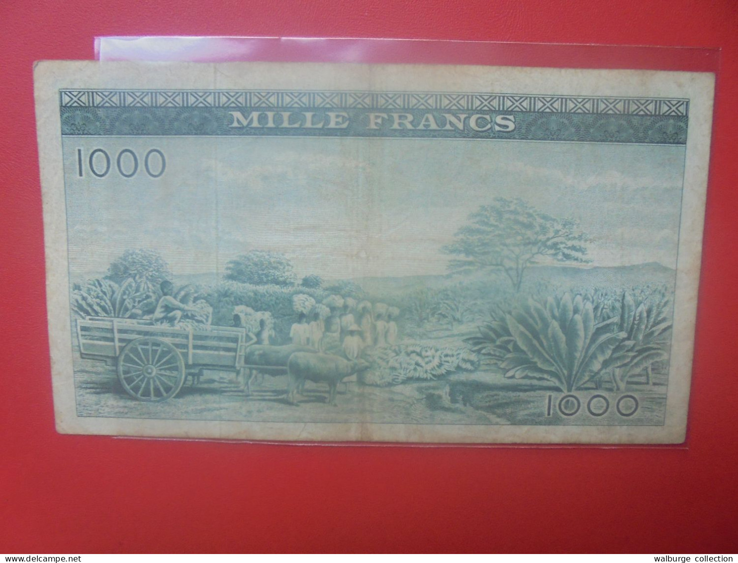 GUINEE 1000 FRANCS 1960 Circuler (B.33) - Guinee