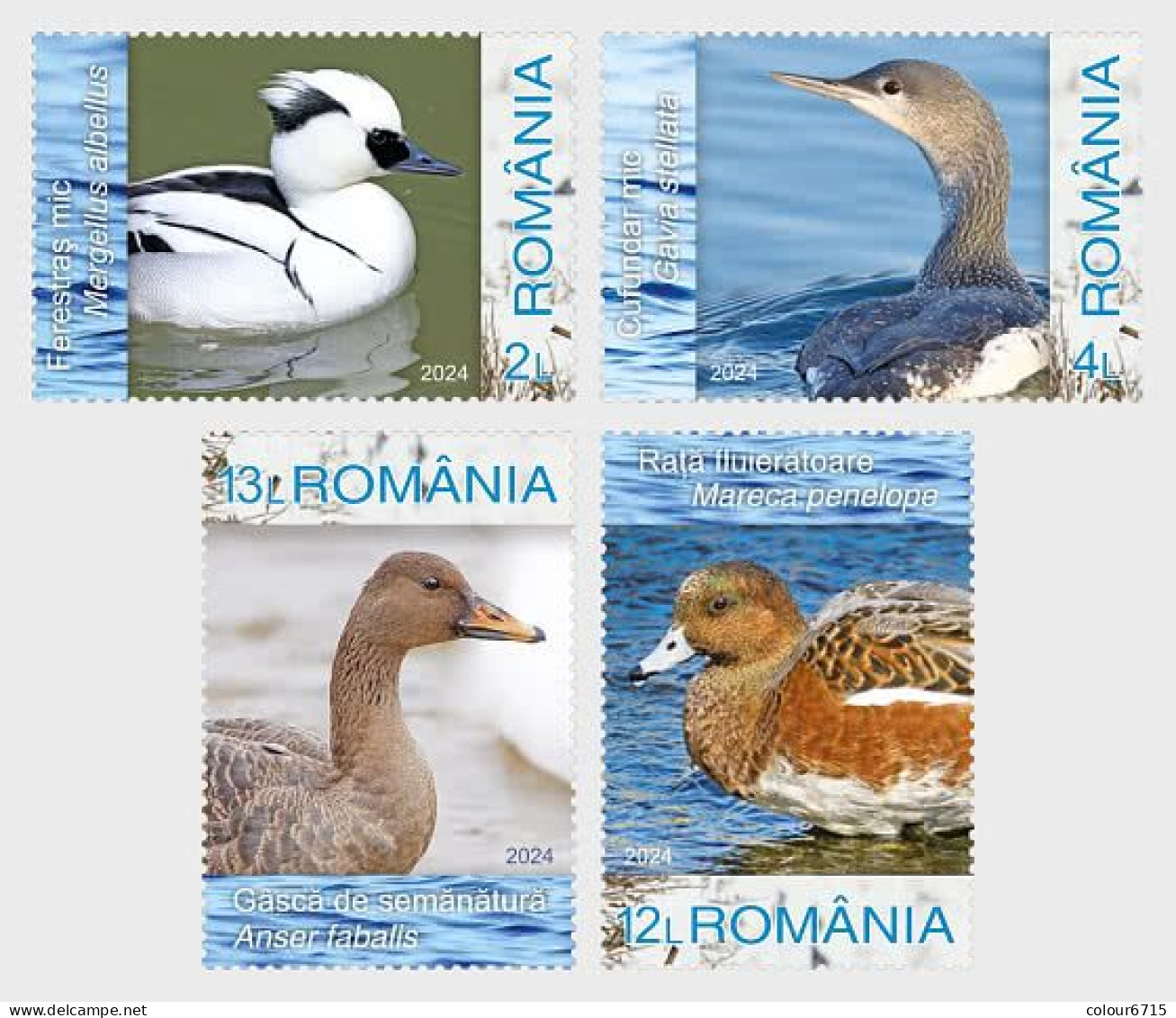 Romania 2023 Birds — Winter Waterfowl Stamps 4v MNH - Unused Stamps