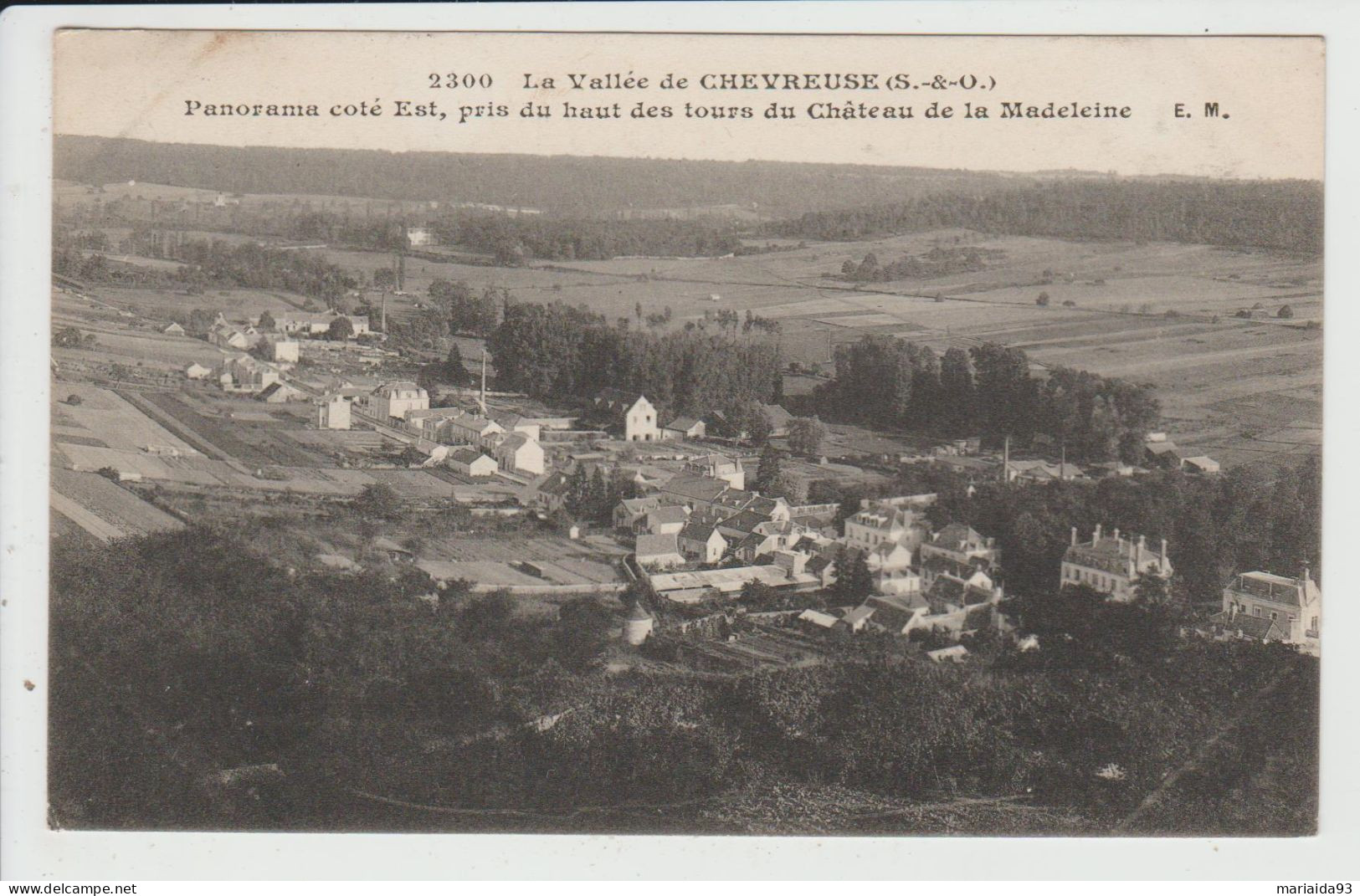 CHEVREUSE - YVELINES - PANORAMA COTE EST PRIS DU HAUT DES TOURS DU CHATEAU DE LA MADELEINE - Chevreuse