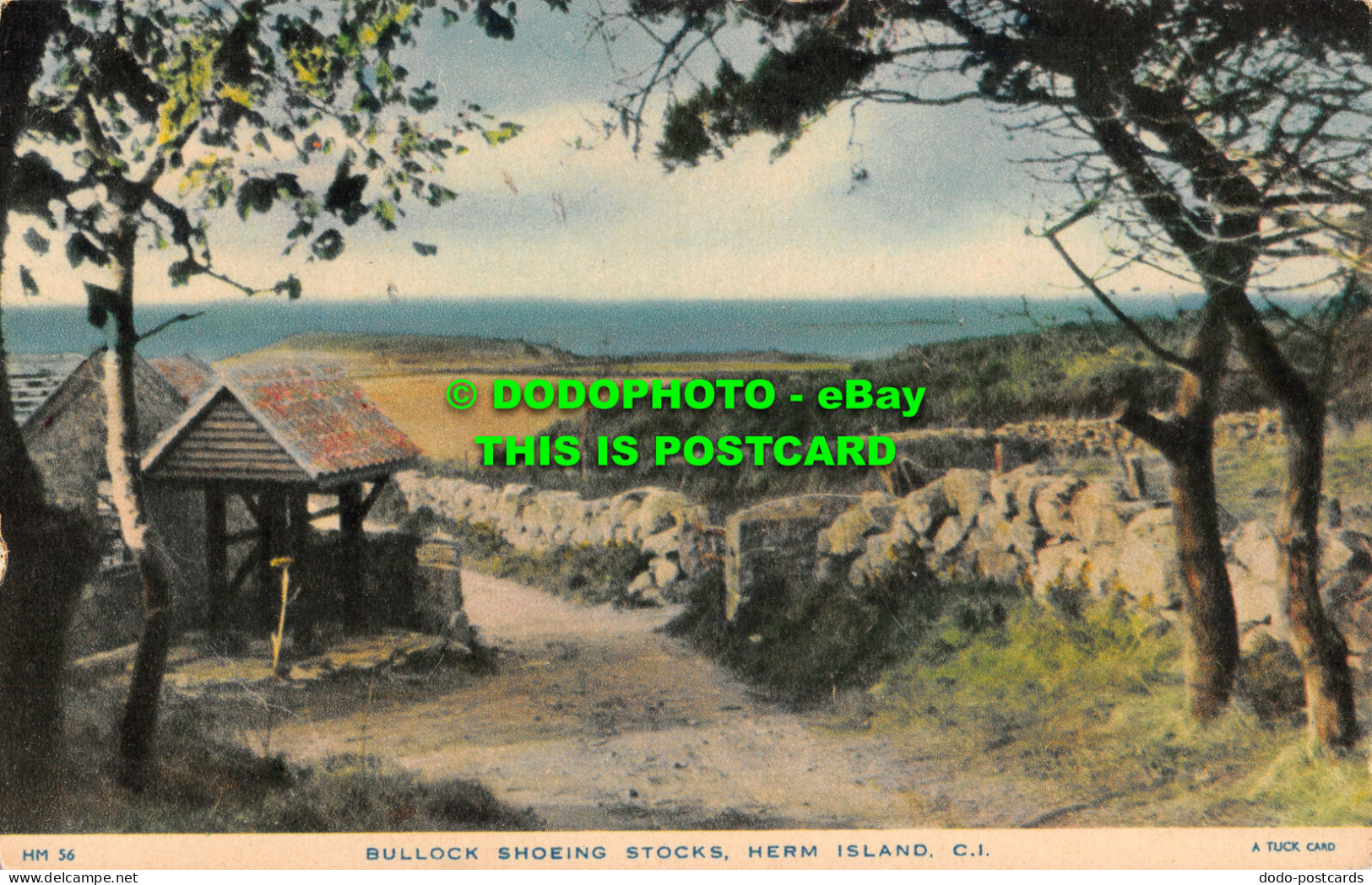 R512250 Bullock Shoeing Stocks. Herm Island. Tuck. The Rapholette Series - World