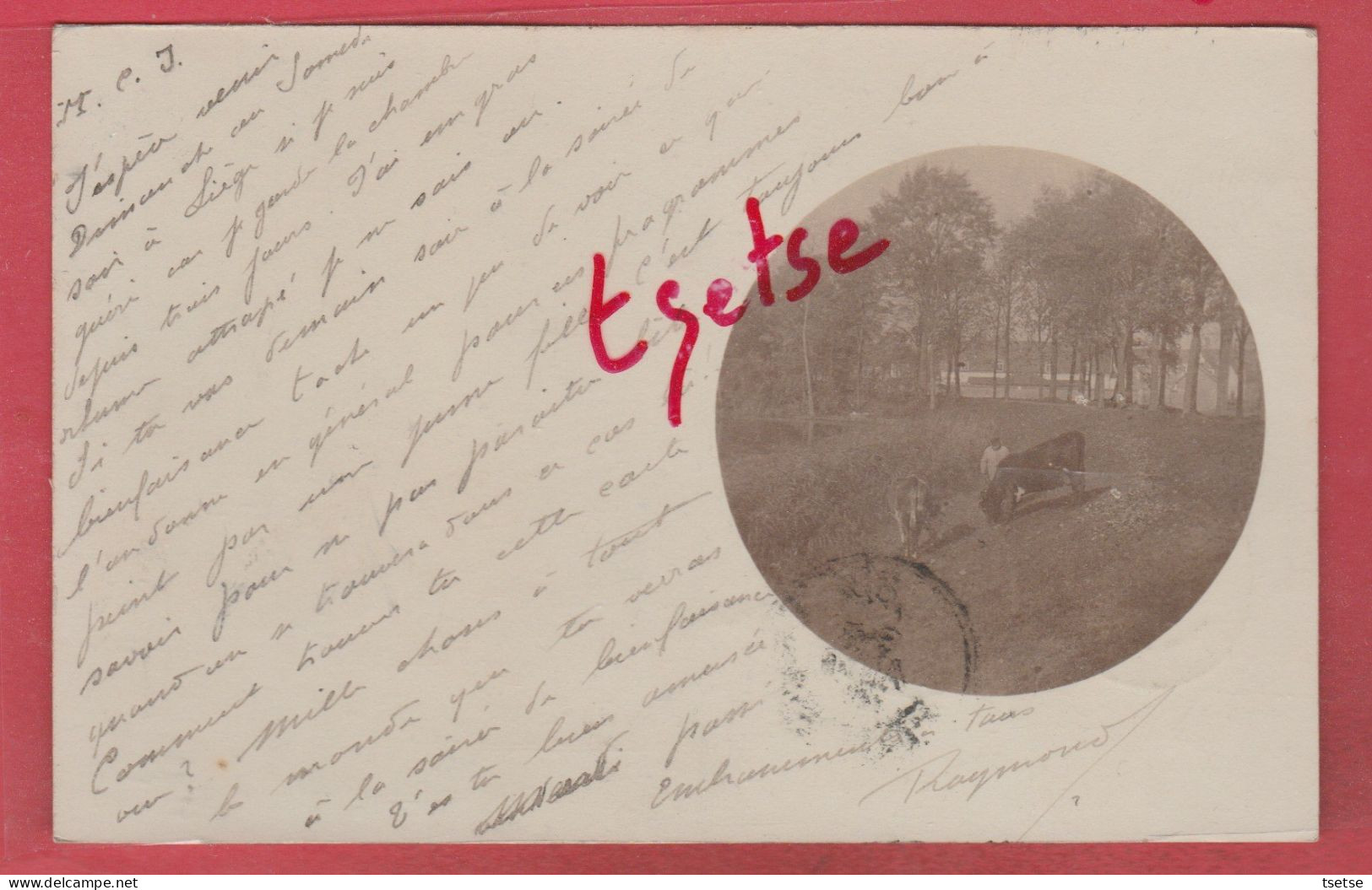 Ieper / Ypres ...landschap ... Fotokaart- 1902 ( Verso Zien ) - Ieper