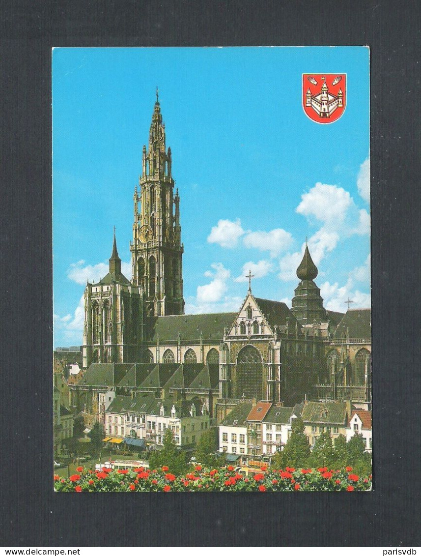 ANTWERPEN -  KATHEDRAAL   (13.310) - Antwerpen