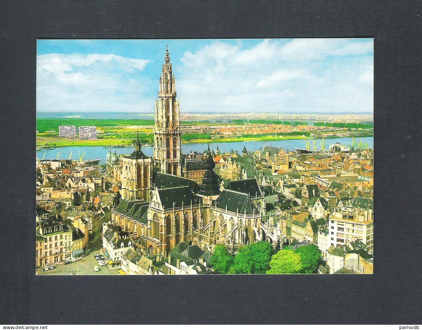 ANTWERPEN - PANORAMA  KATHEDRAAL   (13.312) - Antwerpen