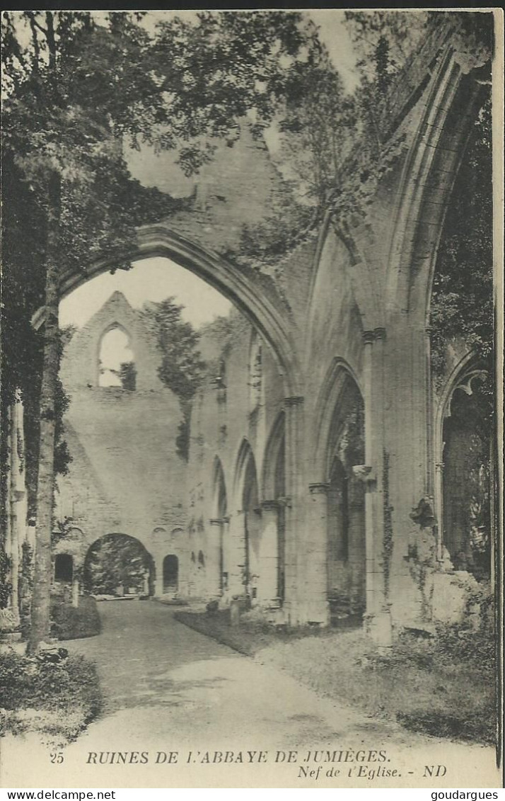 Ruines De L'Abbaye De Jumièges - Nef De L'Eglise - (P) - Jumieges