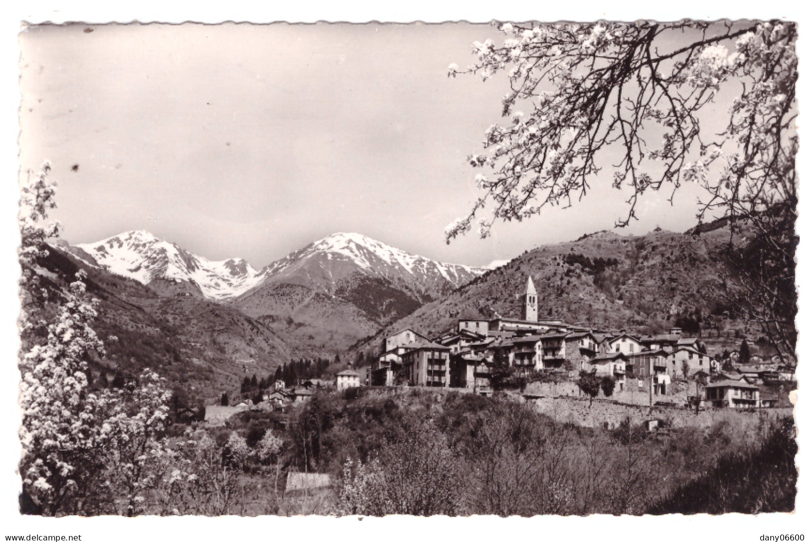 ST MARTIN VESUBIE (carte Photo) - Saint-Martin-Vésubie