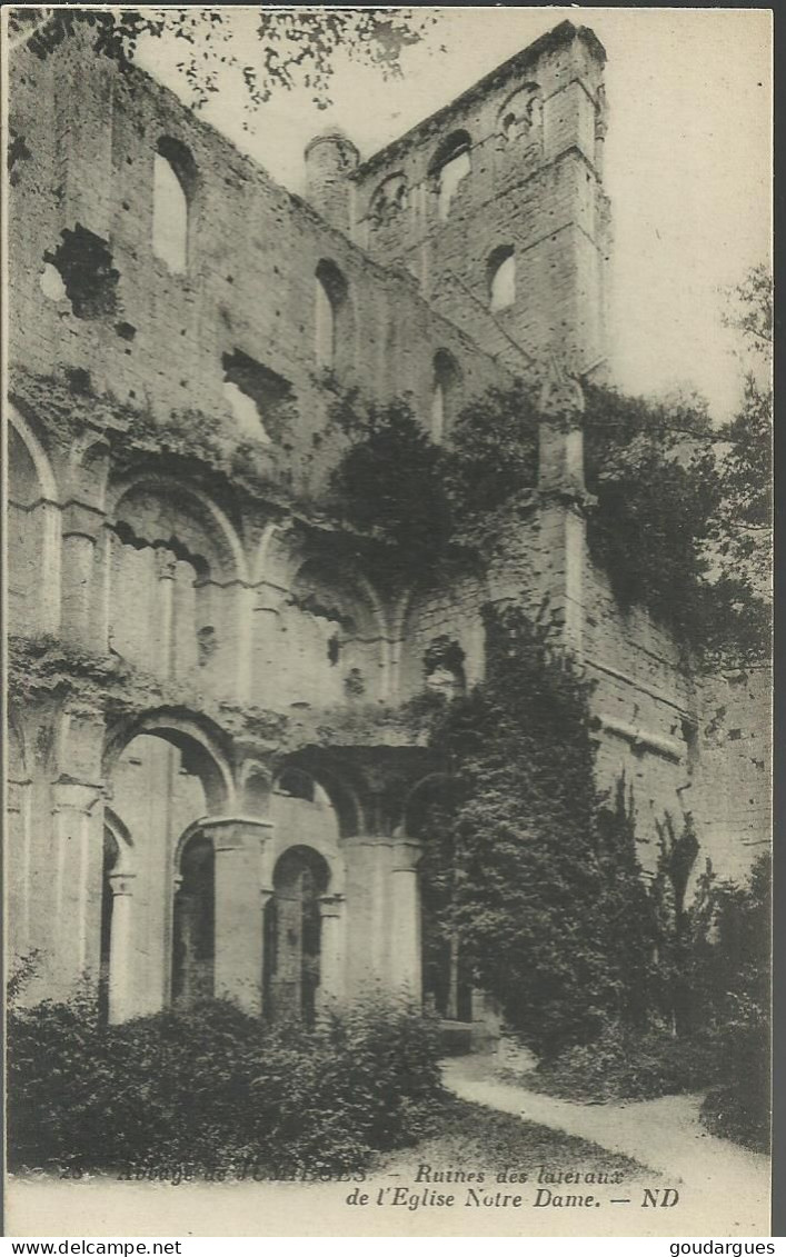 Abbaye De Jumièges - Ruines Des Latéraux De L'Eglise Notre-Dame - (P) - Jumieges