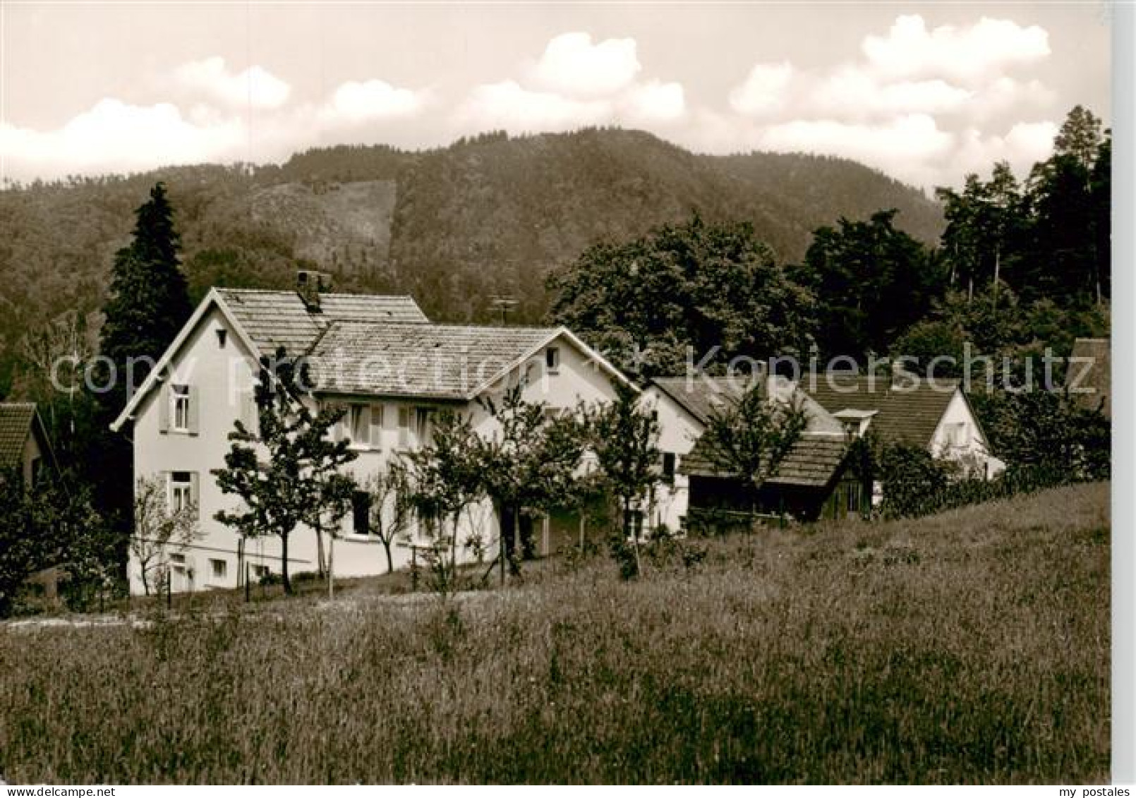 73855113 Badenweiler Haus Tannenwald Gaestehaus Pension Im Schwarzwald Badenweil - Badenweiler