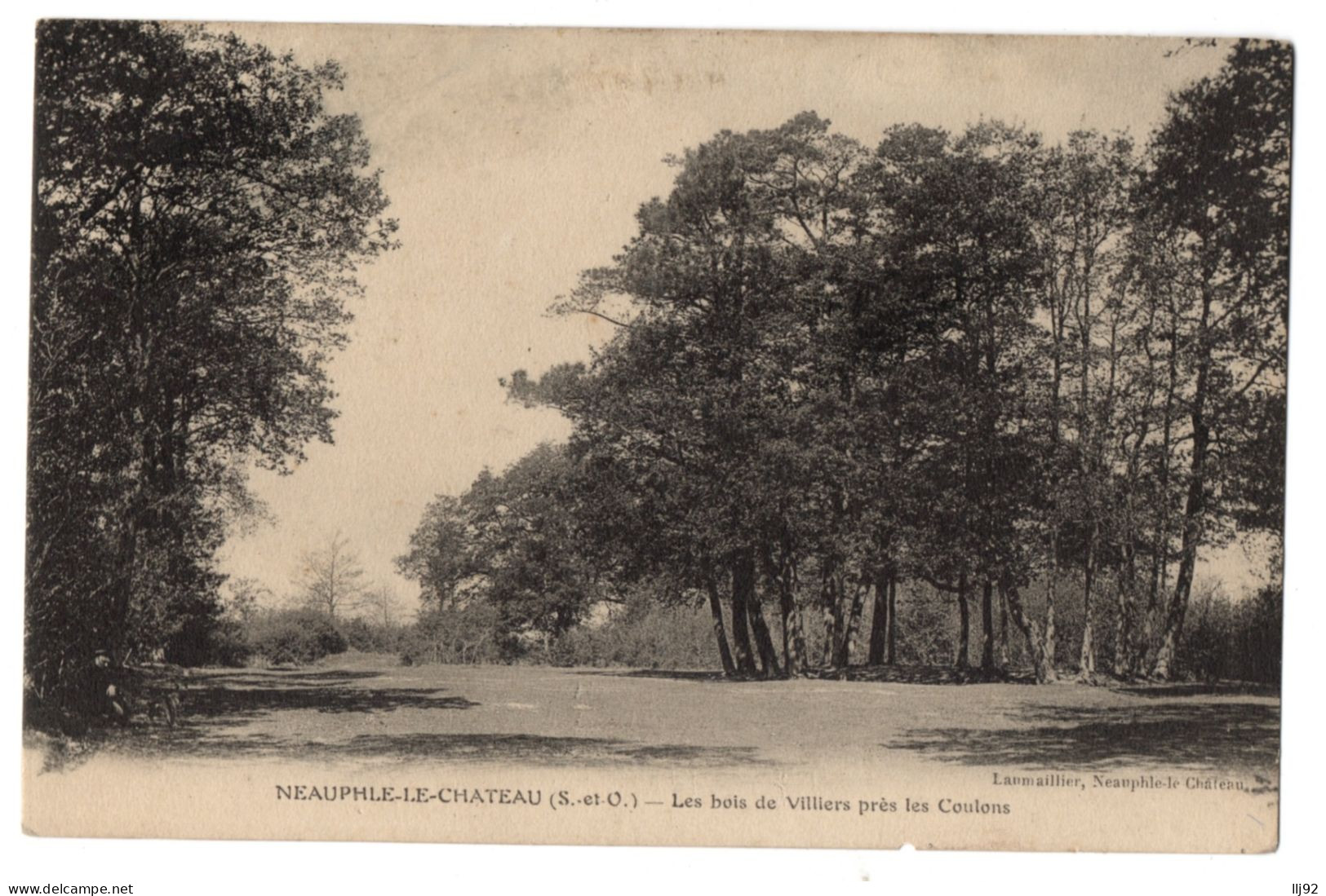 CPA 78 - NEAUPHLE LE CHATEAU (Yvelines) - Les Bois De Villiers Près Les Coulons - Ed. Laumaillier - Neauphle Le Chateau