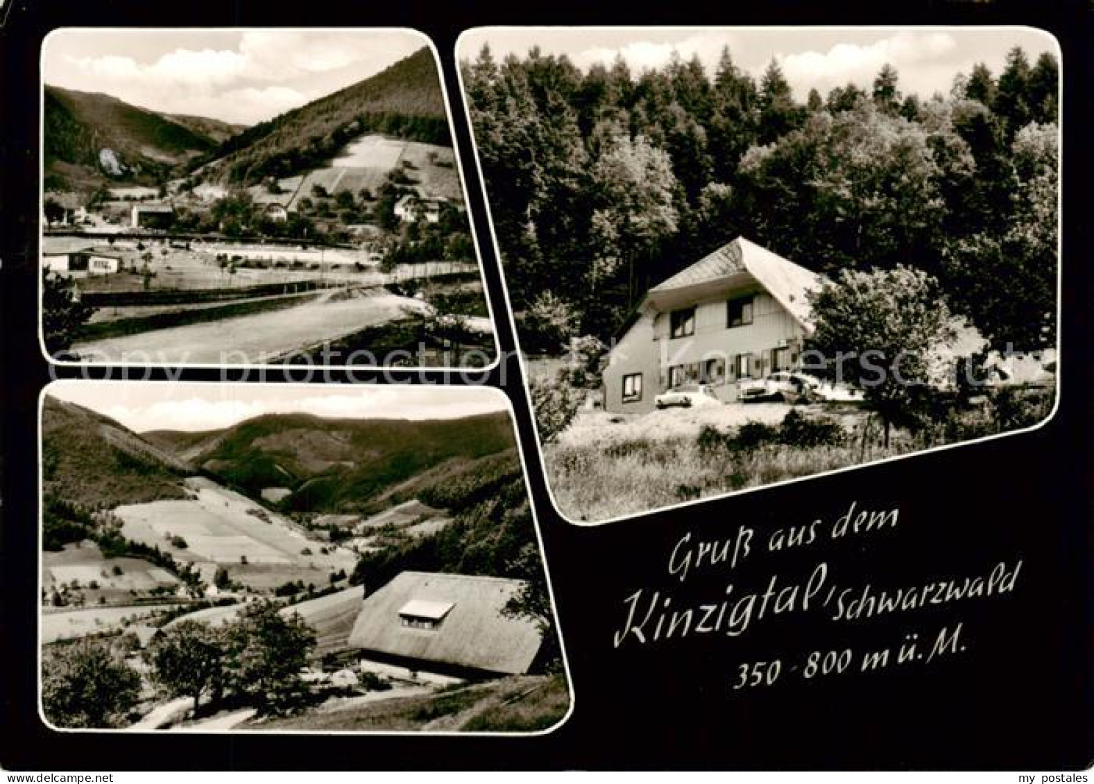 73854890 Kinzigtal Berggasthof Cafe Pension Schmelzeberg Landschaftspanorama Sch - Wolfach