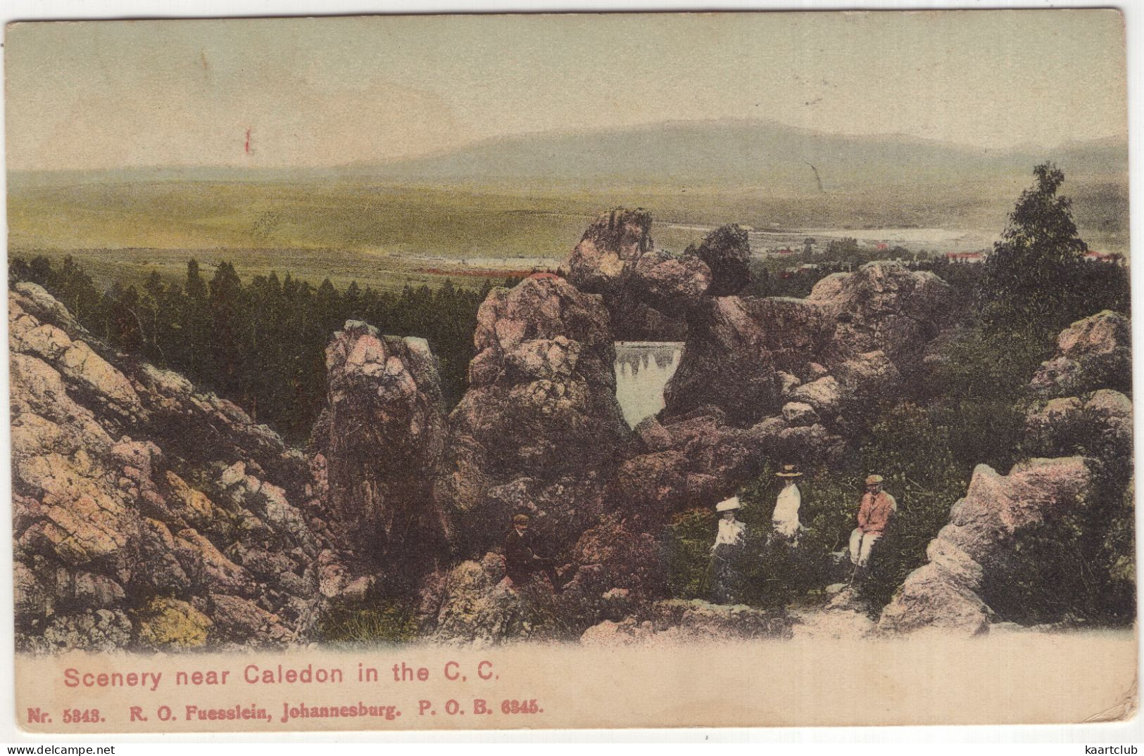Scenery Near Caledon In The C. C. - (South-Africa) - 1911 - No. 5343. R.O. Füsslein, Johannesburg - Afrique Du Sud
