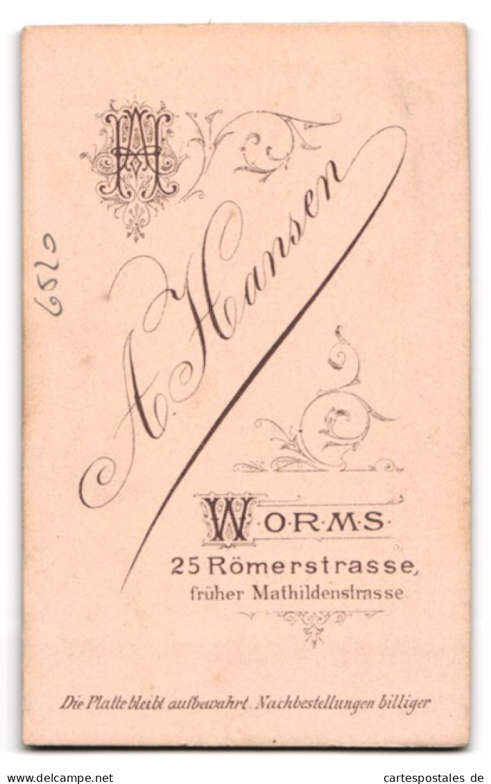 Fotografie A. Hansen, Worms, Mathildenstrasse 25, Eleganter Herr Mit Vollem Haar Und Kinnbart  - Anonymous Persons