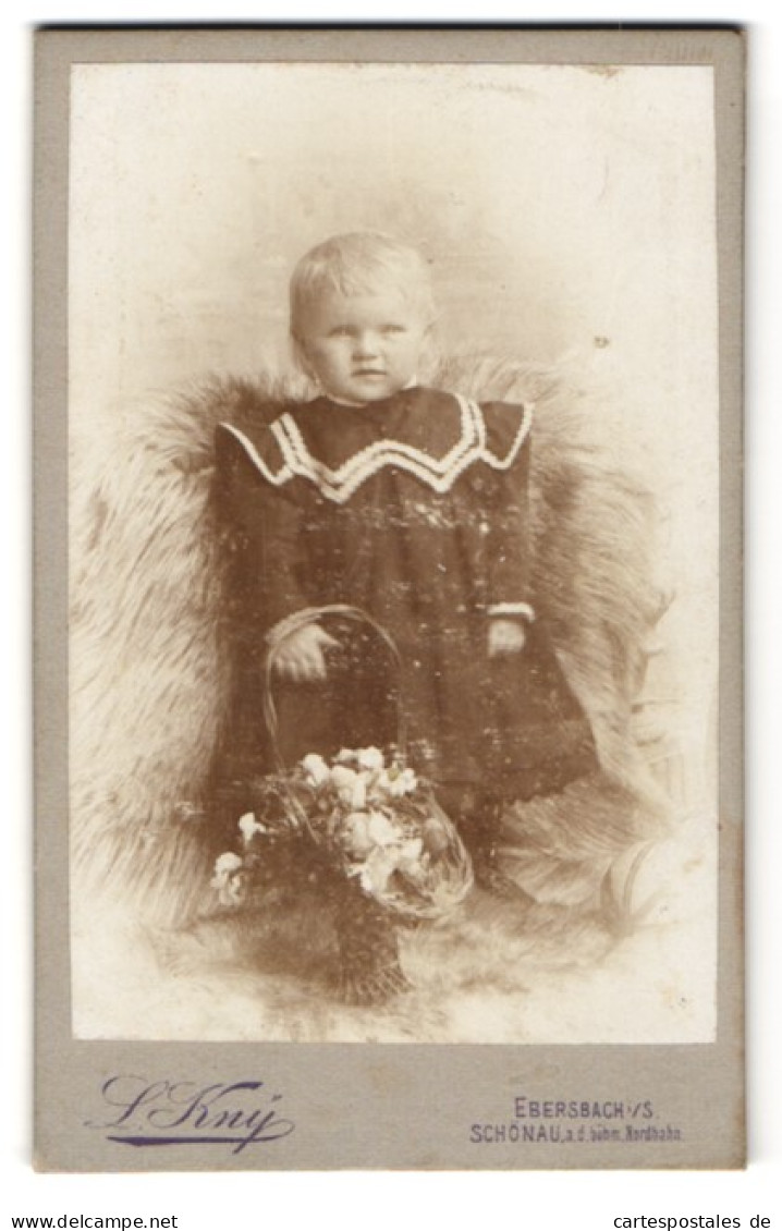 Fotografie L. Kny, Ebersbach I. S., Blondes Süsses Baby Mit Blumenkorb  - Personnes Anonymes