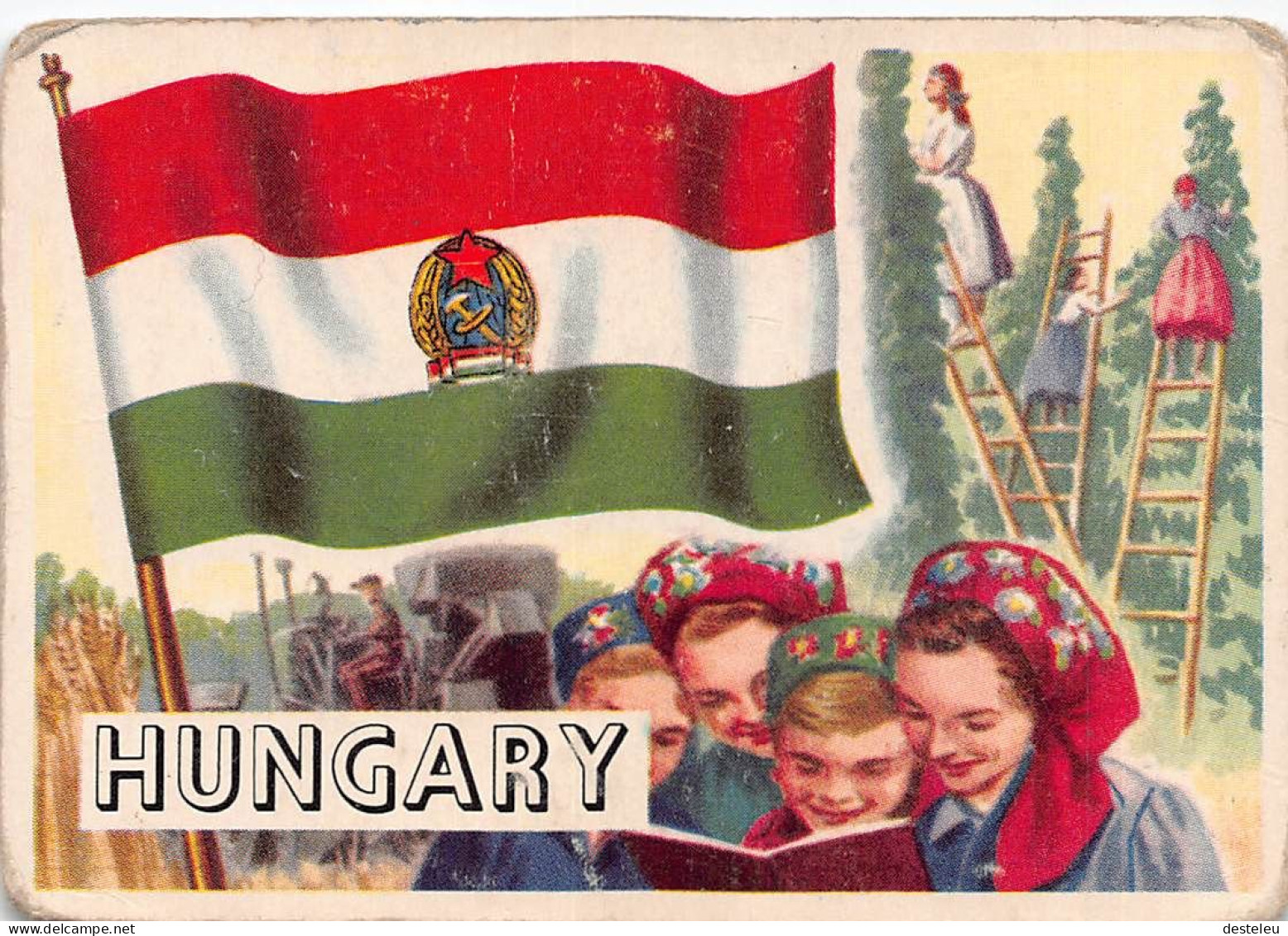 Flags Of The World Chromo - Hungary - 6.5 X 9.5 Cm - Autres & Non Classés