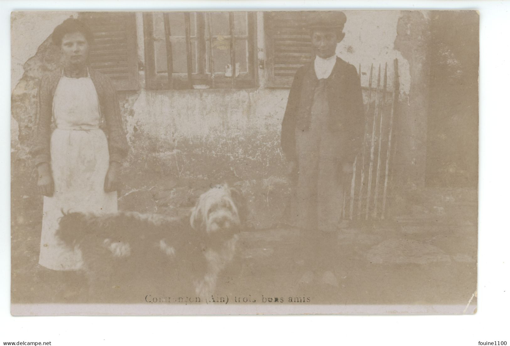 CARTE PHOTO De CONFRANCON ( Ain ) Trois Bons Amis ( Chien ) - Unclassified