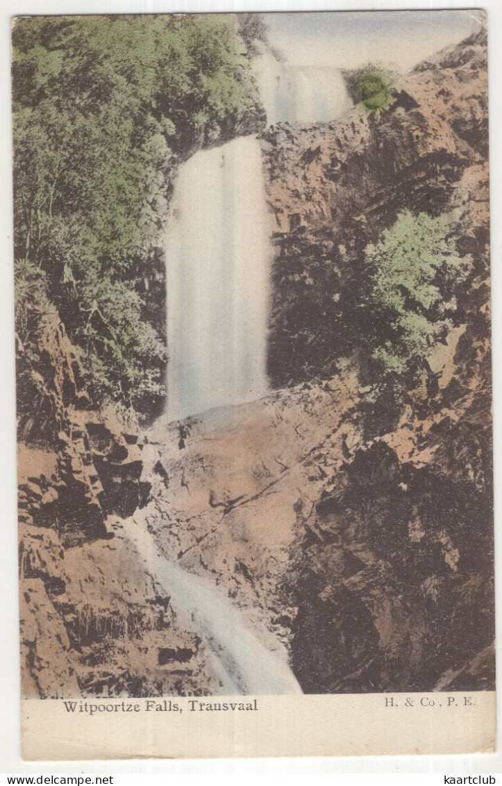 Wilpoortze Falls, Transvaal - (South-Africa) - H. & Co., P.b. - South Africa