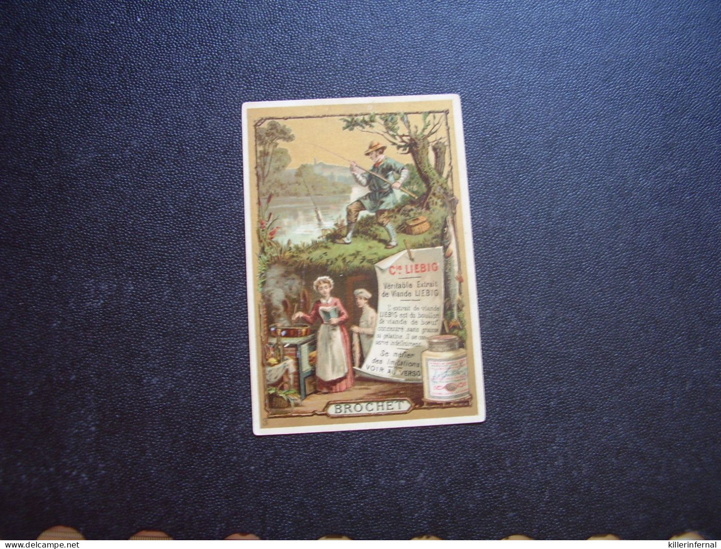 Original Old Card Chromo Liebig S 193 Brochet - Liebig