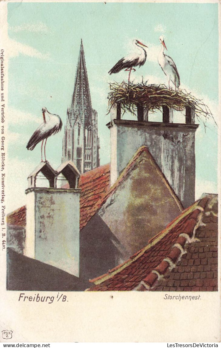 ALLEMAGNE - Freiburg I/B - Storchennest - Vue Sur Le Nid De Cigogne - Oiseaux - Carte Postale Ancienne - Freiburg I. Br.