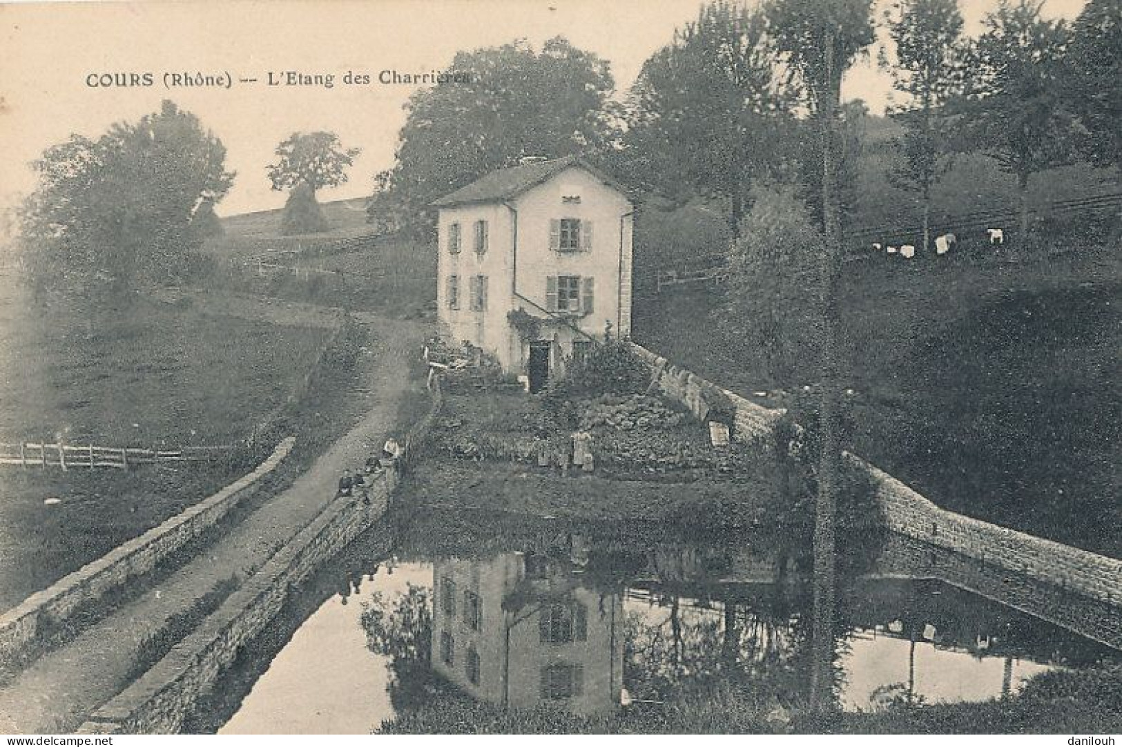 69 // COURS   L'étang Des Charrières - Cours-la-Ville