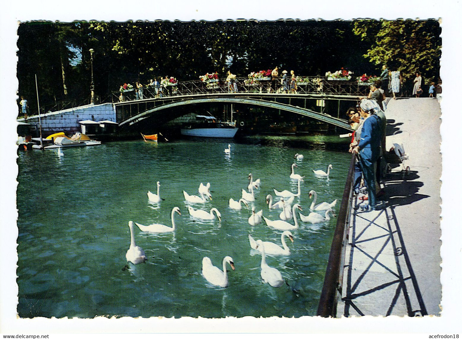 Annecy - Les Cygnes Et Le Pont Des Amours - Annecy