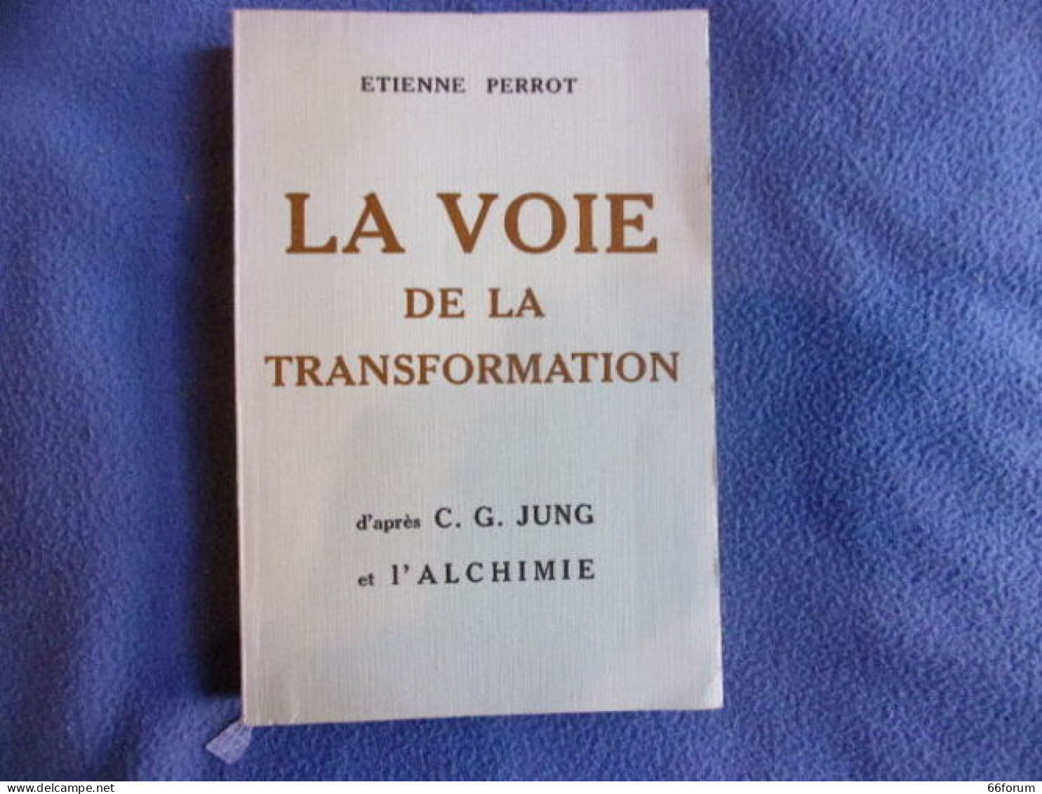 La Voie De La Transformation D'après NJung Et L'alchimie - Geheimleer