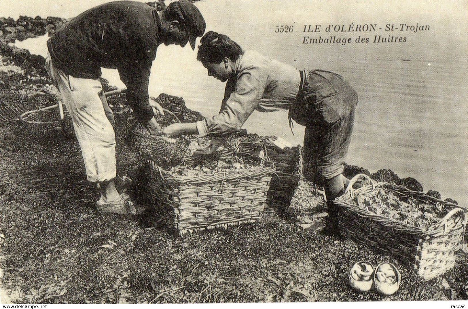 REPRO CARTE ANCIENNE - H11 - CHARENTE MARITIME - ILE D'OLERON - SAINT TROJAN - EMBALLAGE DES HUITRES - Ile D'Oléron