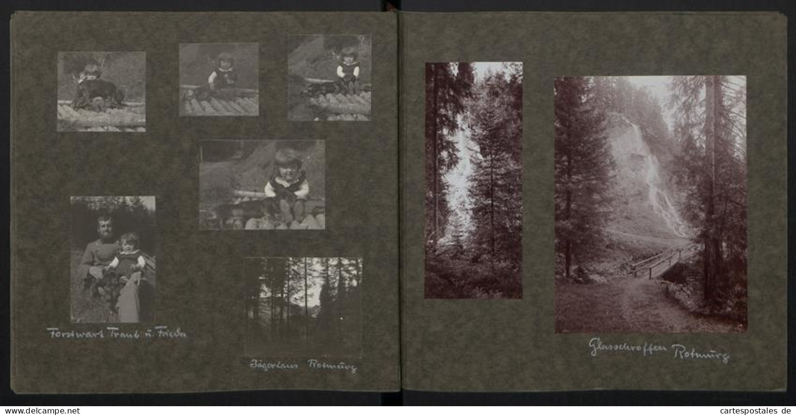 7 Fotoalben mit 381 Fotografien, deutscher Geologe Karl Regelmann, private Aufnahmen von 1850-1903, Vermessung, Geräte 