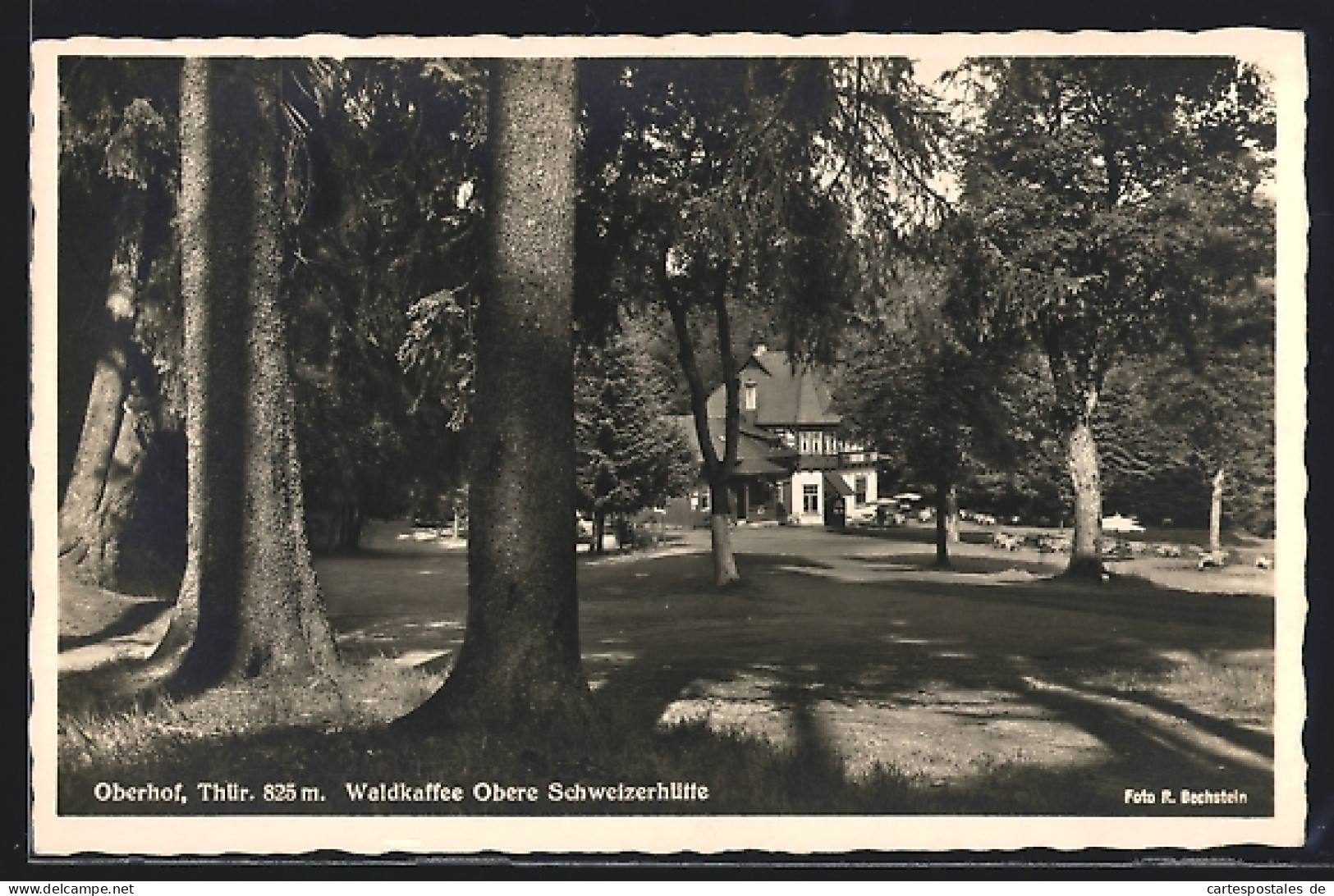 AK Oberhof /Thür., Waldkaffee Obere Schweizerhütte  - Oberhof