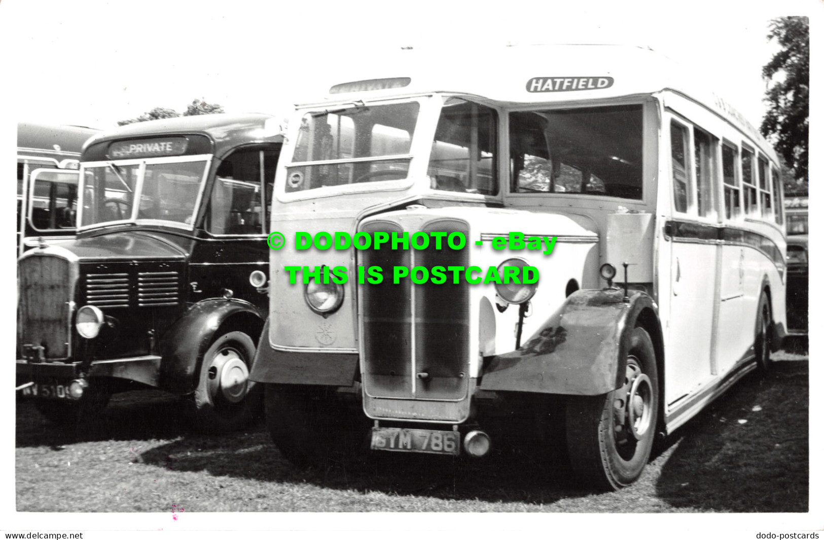 R512850 Bus. Vehicle. Hatfield. GYM 786. A. E. C. Regal 662. 1930. Burungham C32 - Welt