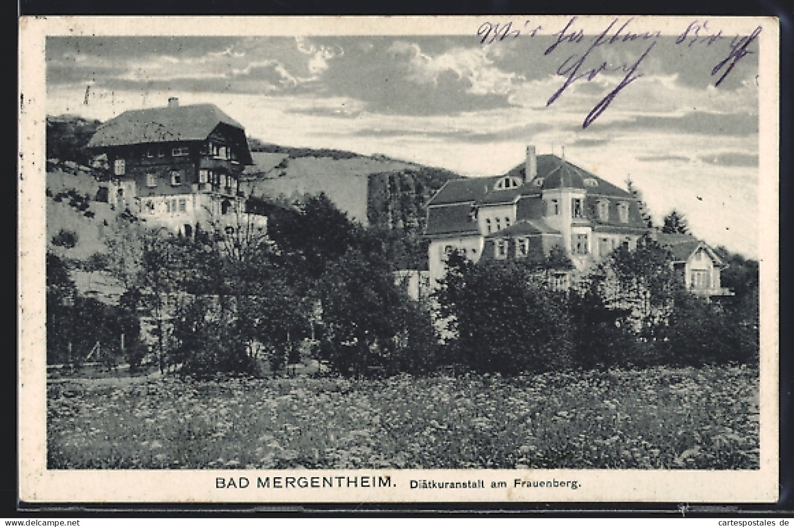 AK Bad Mergentheim, Diätkuranstalt Am Frauenberg  - Bad Mergentheim