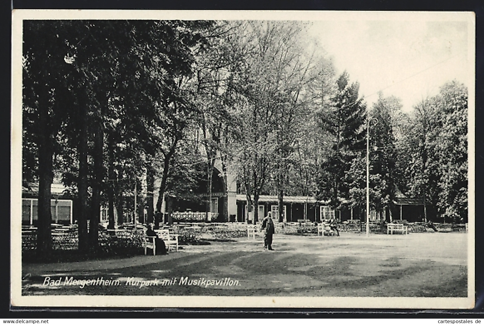 AK Bad Mergentheim, Kurpark Mit Musikpavillon  - Bad Mergentheim