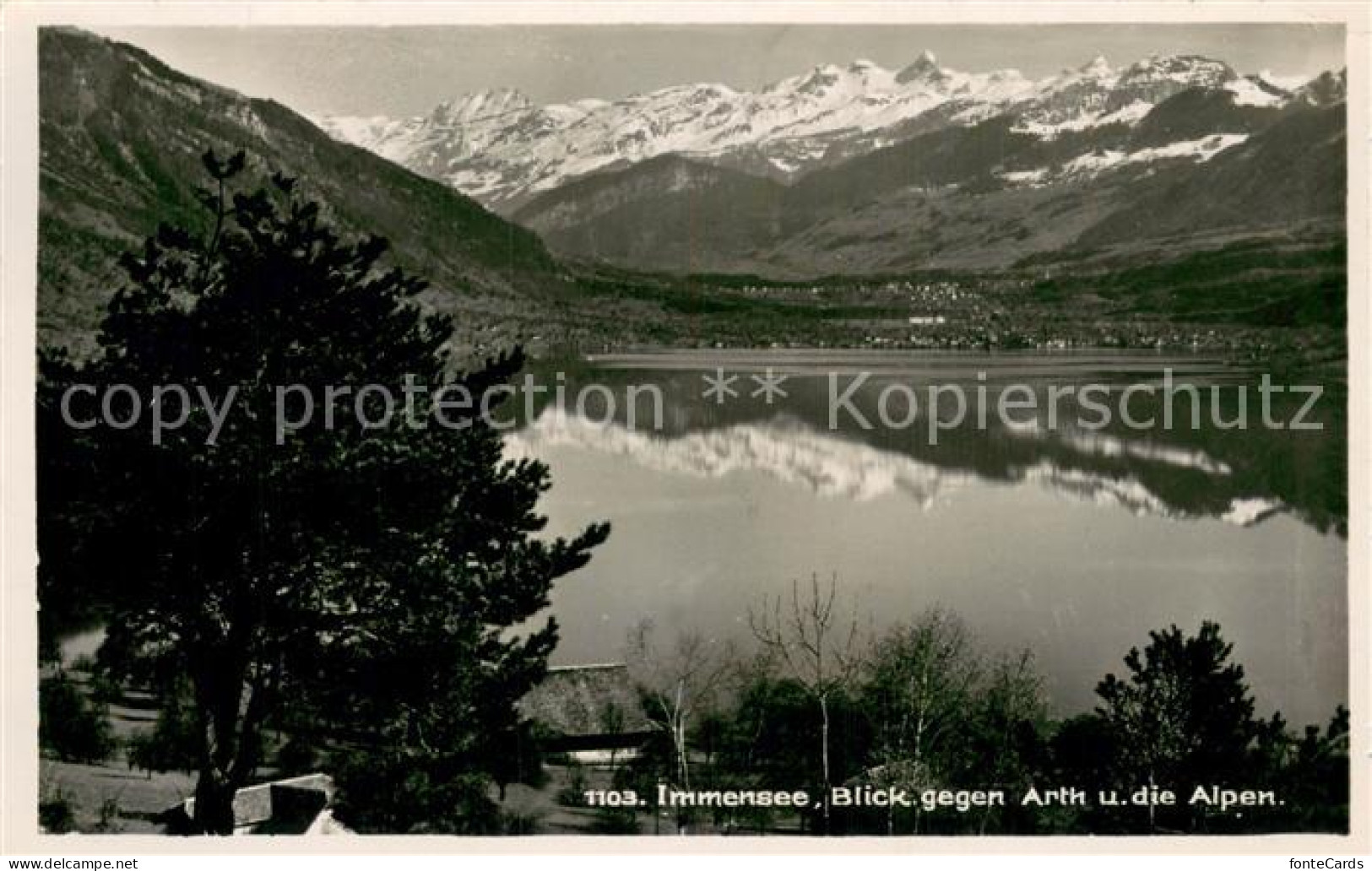 13726692 Immensee Blick Auf Arth Und Die Alpen Immensee - Autres & Non Classés