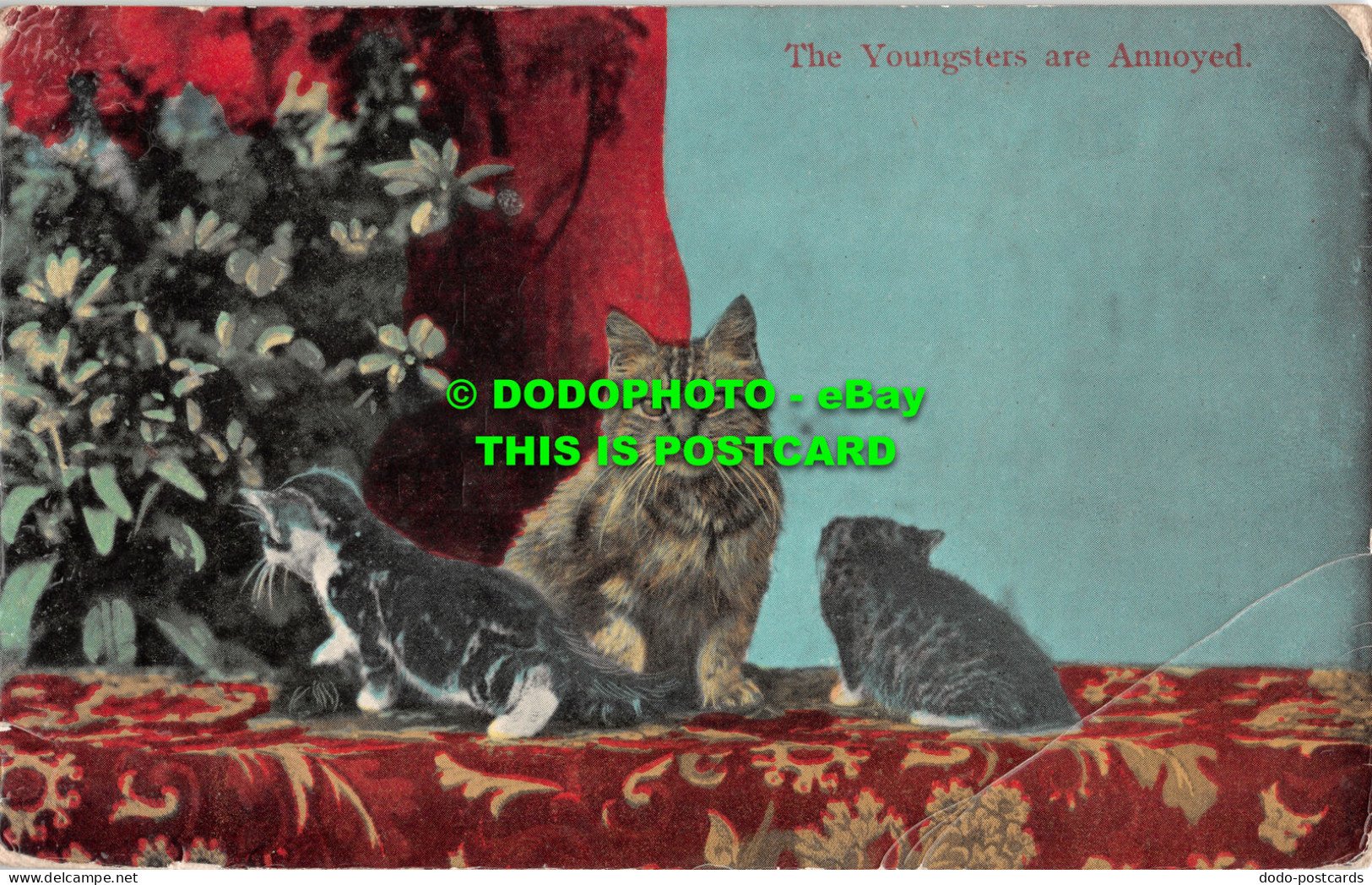 R512560 The Youngsters Are Annoyed. Kittens. E. S. London. No. 4200. 1908 - Other & Unclassified