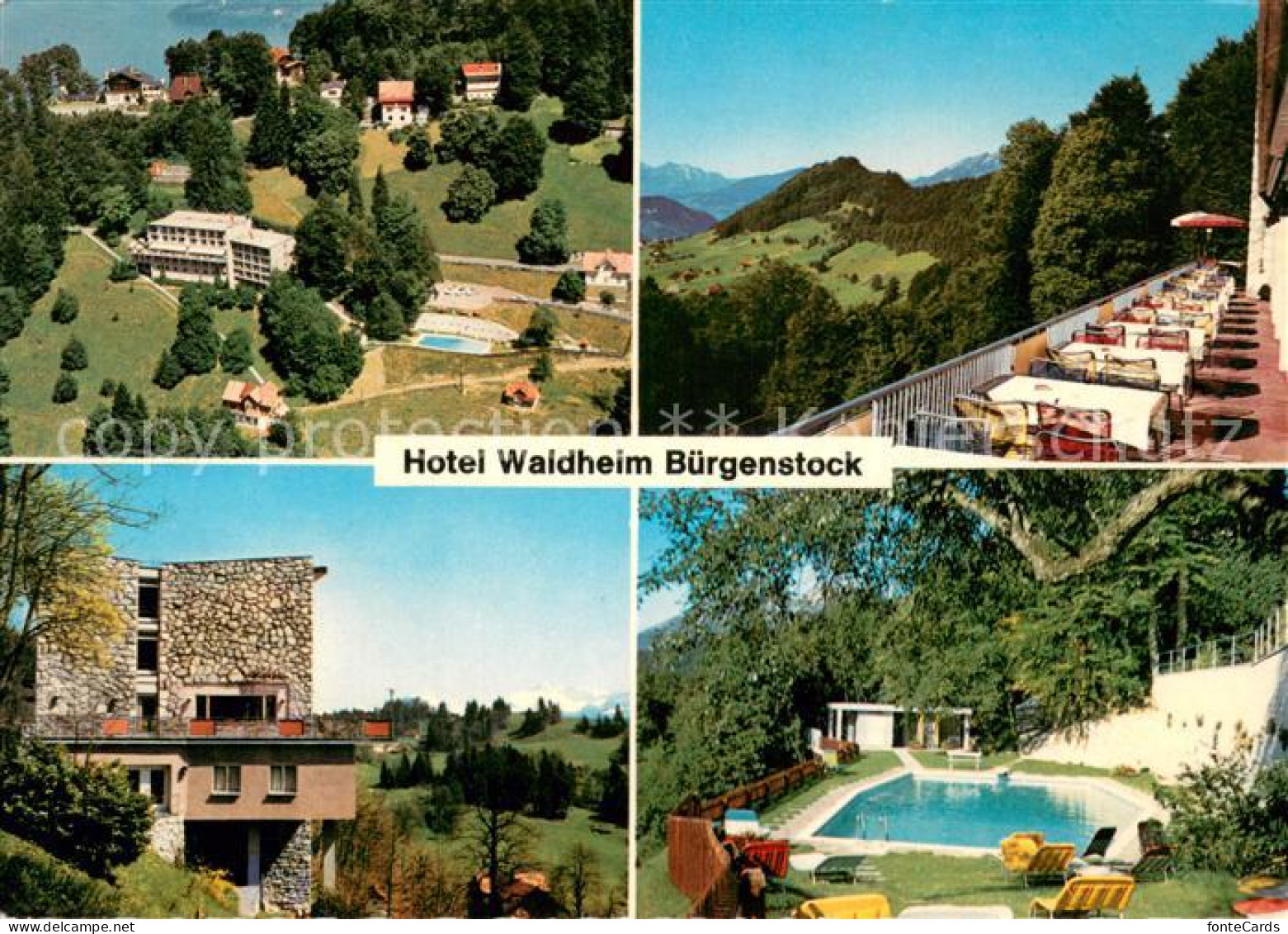 13723622 Buergenstock Hotel Waldheim Terrasse Swimming Pool Landschaftspanorama  - Autres & Non Classés