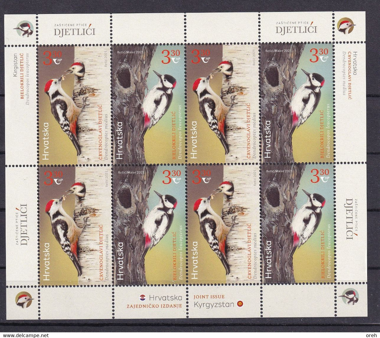 CROATIA 2021,FAUNA,BIRDS,JOIN EDITION,WOODPECKER,MIDDLE SPOT WOODPECKER,WHITE WINGED WOODPECKER,SHEET,MNH - Croatia