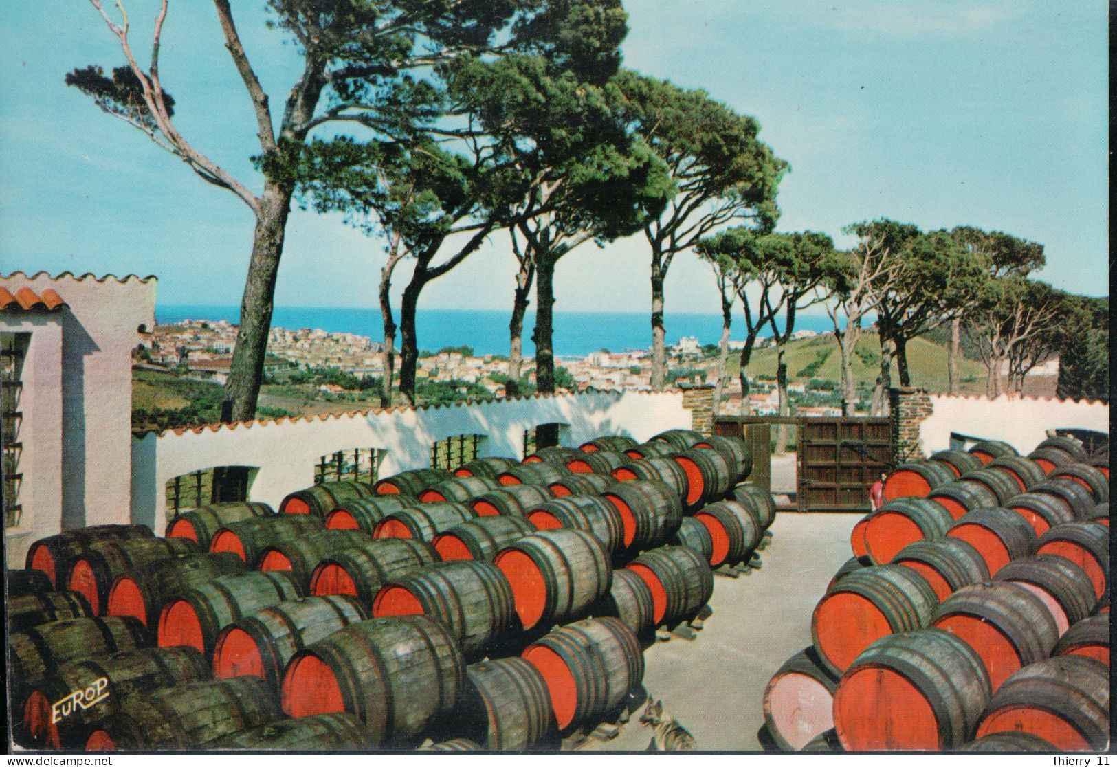 Cpsm 66 Côte Vermeille Banyuls Se Fameux Crus ... - Banyuls Sur Mer