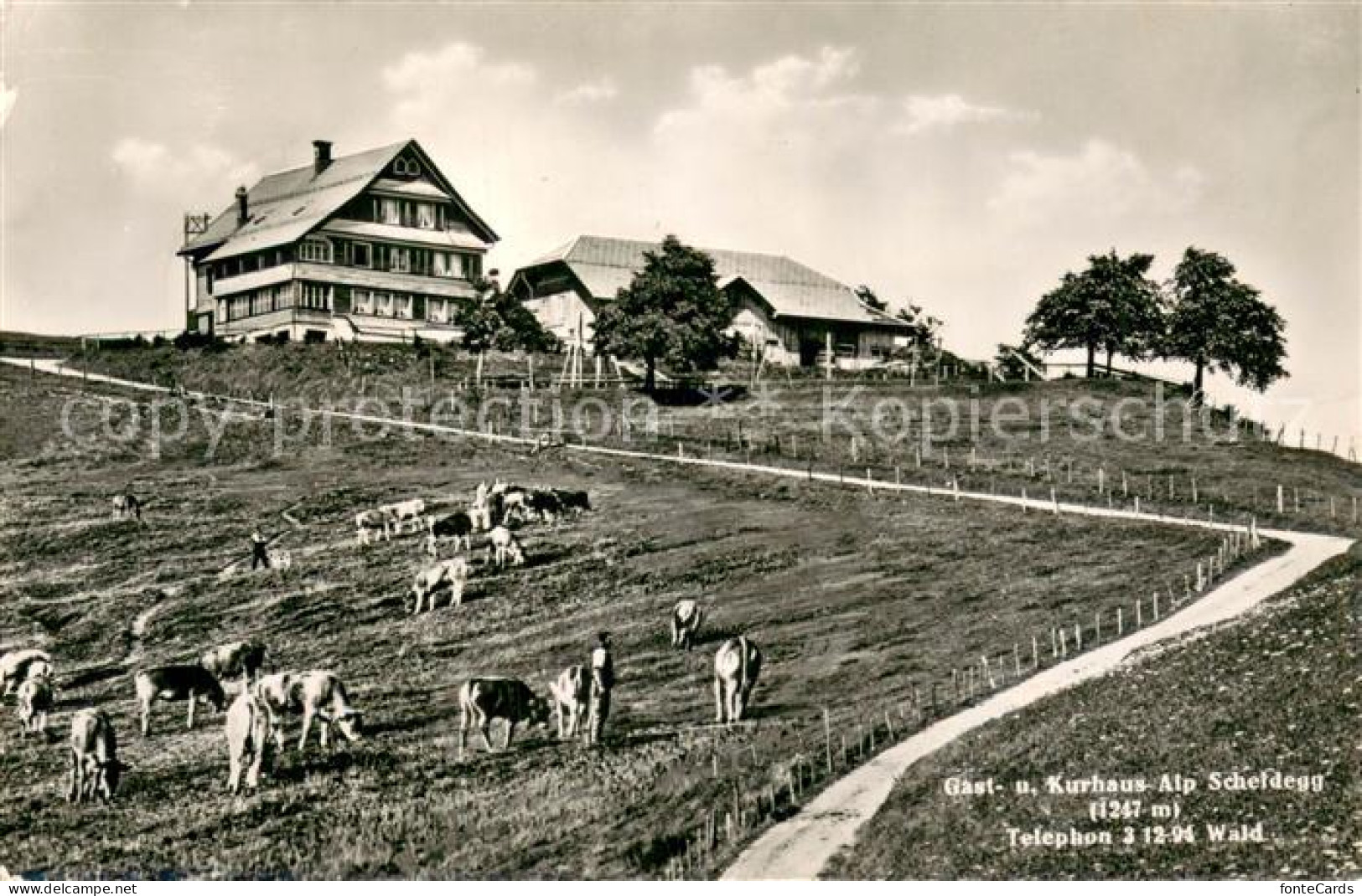 13718504 Wald ZH Gast Und Kurhaus Alp Scheidegg Wald ZH - Andere & Zonder Classificatie