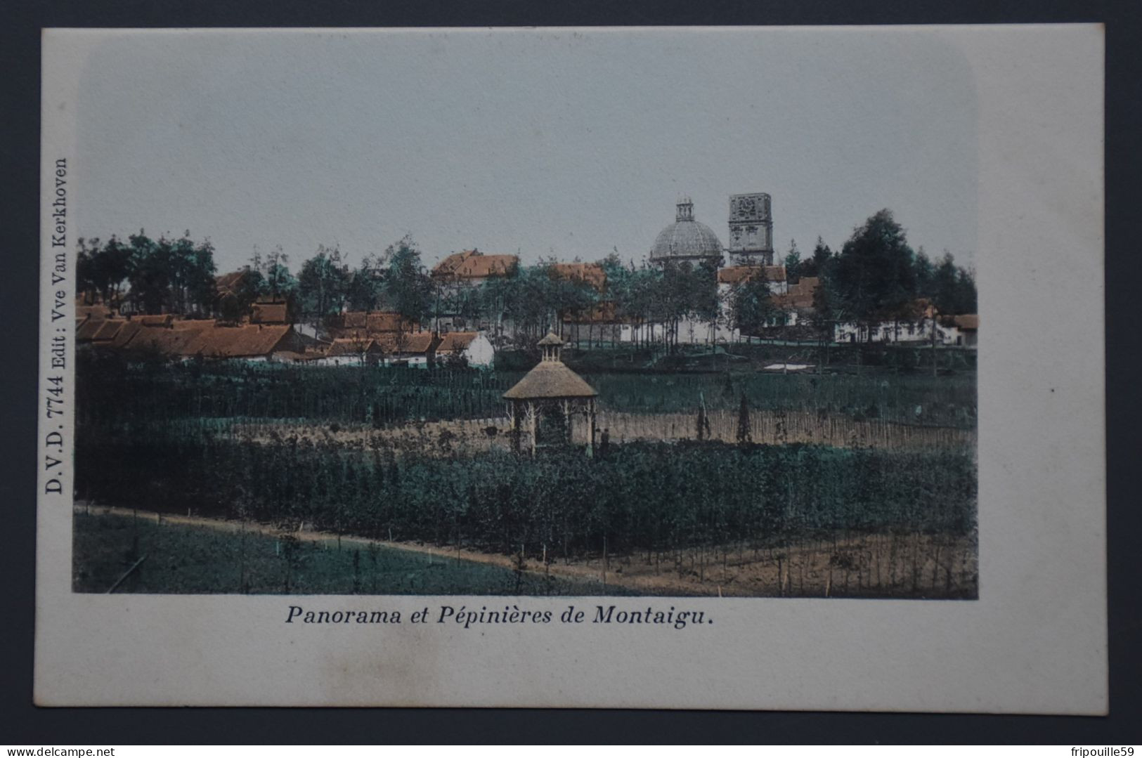 Panorama Et Pépinières De Montaigu - D.V.D. 7744 Edit. Vve Van Kerkhoven - 1900 !! - Scherpenheuvel-Zichem