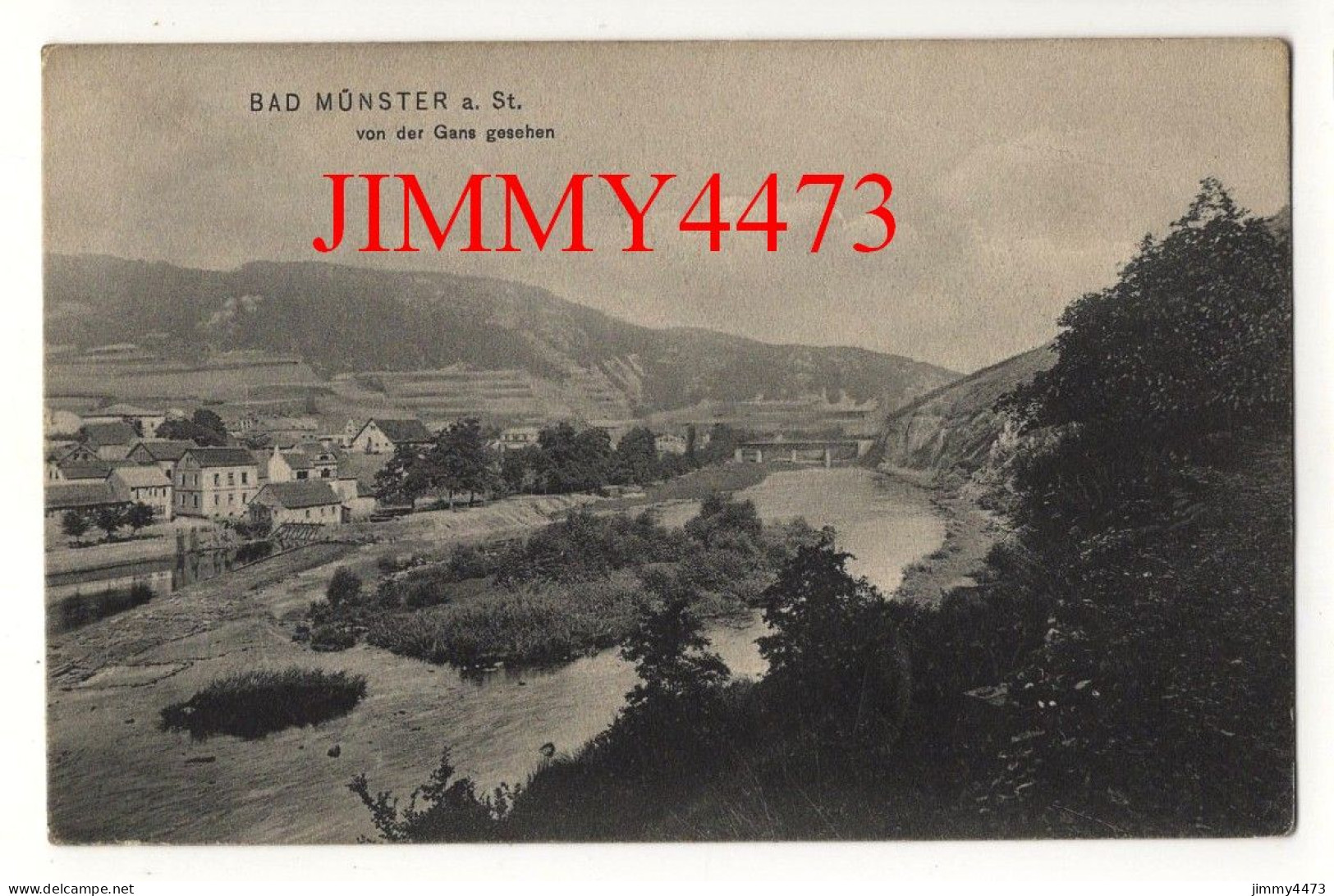 BAD MÜSTER A St. - Von Der Gans Gesehen ( Rhénanie-Palatinat ) N° 91092 - Verlag. A. Gers 1907 - Bad Muenster A. Stein - Ebernburg