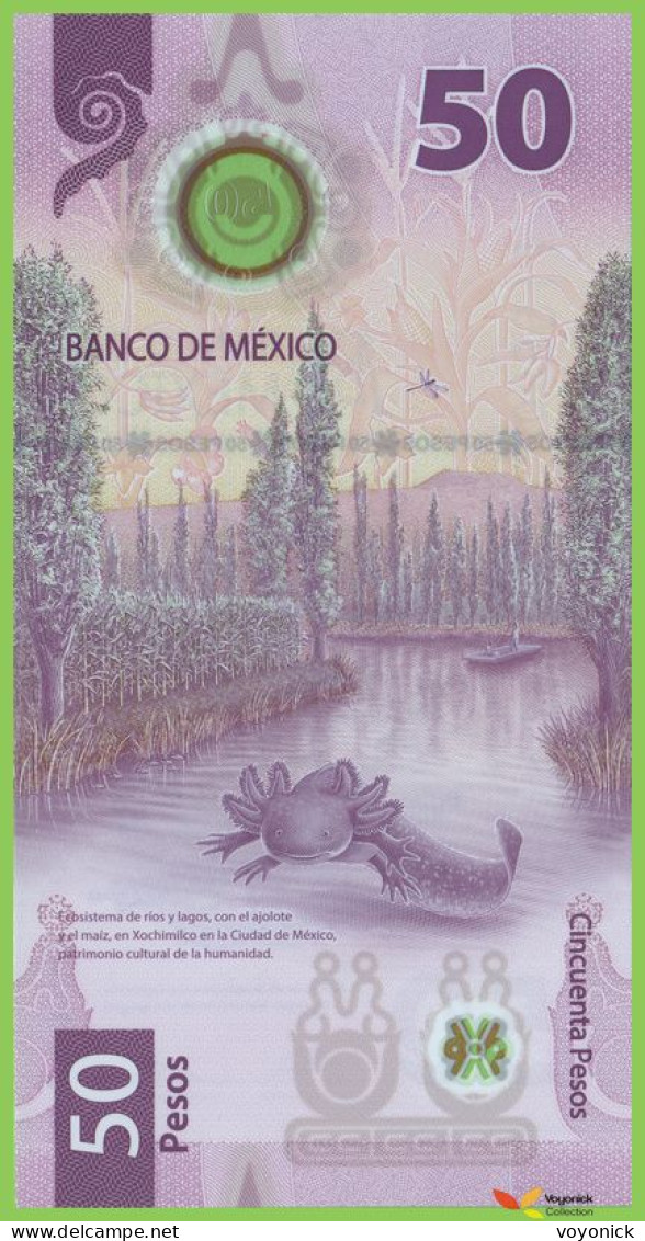 Voyo MEXICO 50 Pesos 2022 P133 B714c BC UNC Polymer - Mexique