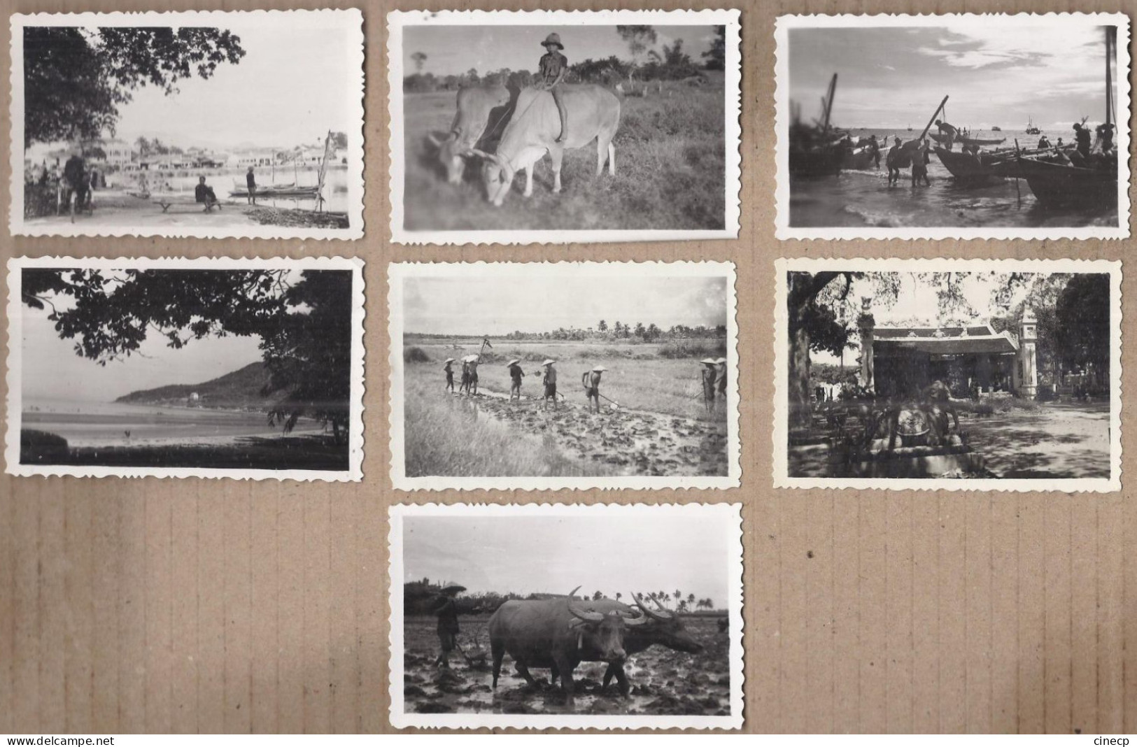 LOT 7 PHOTOGRAPHIE VIETNAM INDOCHINE TONKIN - ANIMATIONS BUFFLE Bâteaux Pêcheurs Rizières Temple - Viêt-Nam