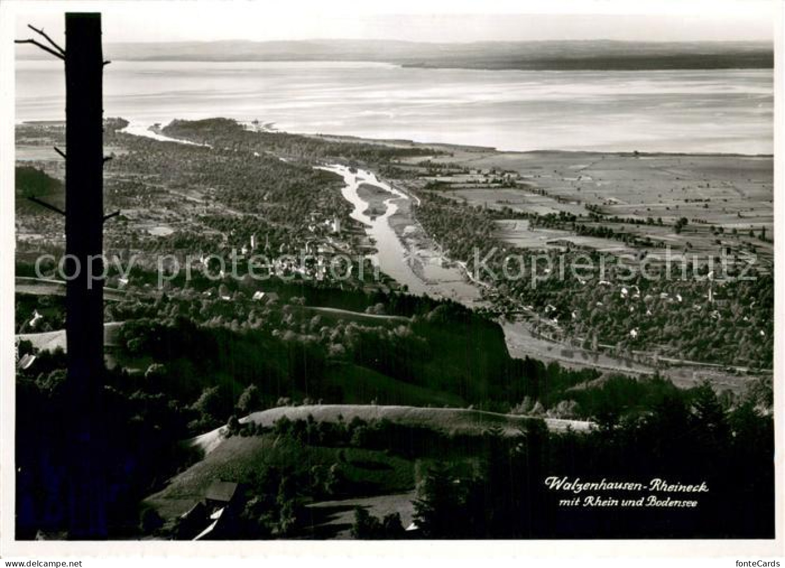 13712611 Walzenhausen AR Und Rheineck Mit Rhein Und Bodensee Walzenhausen AR - Autres & Non Classés