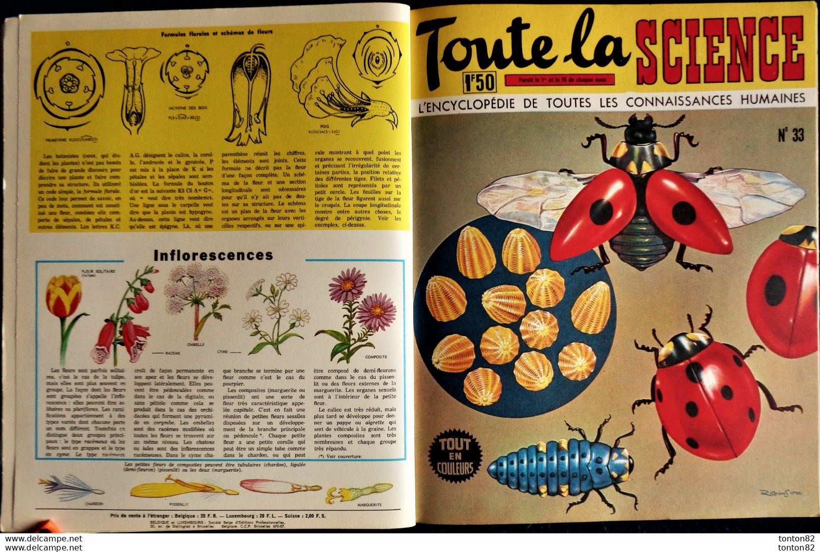 Panorama De La Science - Volume 6 - ( Contient Les N° : 31, 32, 33, 34, 35, 36 ) - ( 1965 ) . - Wissenschaft