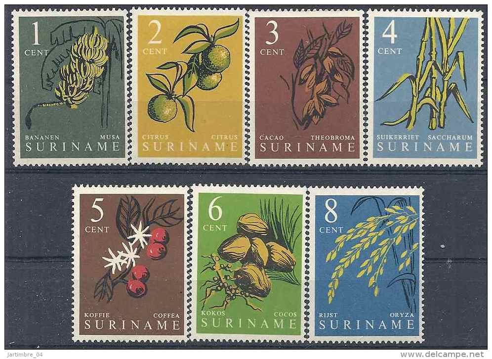 1961 SURINAM  341-47** Fruits Et Plantes, Café, Cacao - Surinam