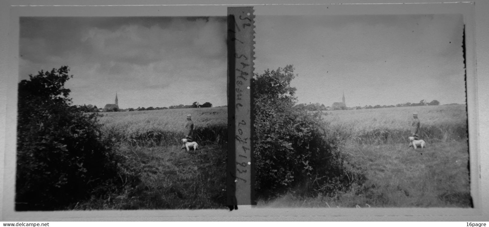 LOT DE CINQ PLAQUES DE VERRE STÉRÉO, MACHECOUL-SAINT-MÊME, 1930 ET 1933. LOIRE-ATLANTIQUE - Glass Slides