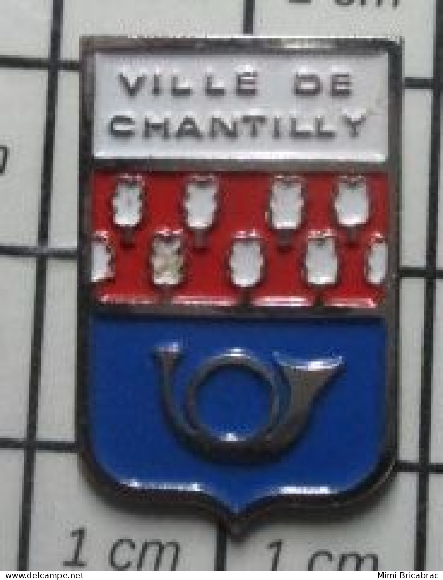 1618c Pin's Pins / Beau Et Rare / VILLES / CHANTILLY BLASON ECUSSON ARMOIRIES COR DE CHASSE - Villes