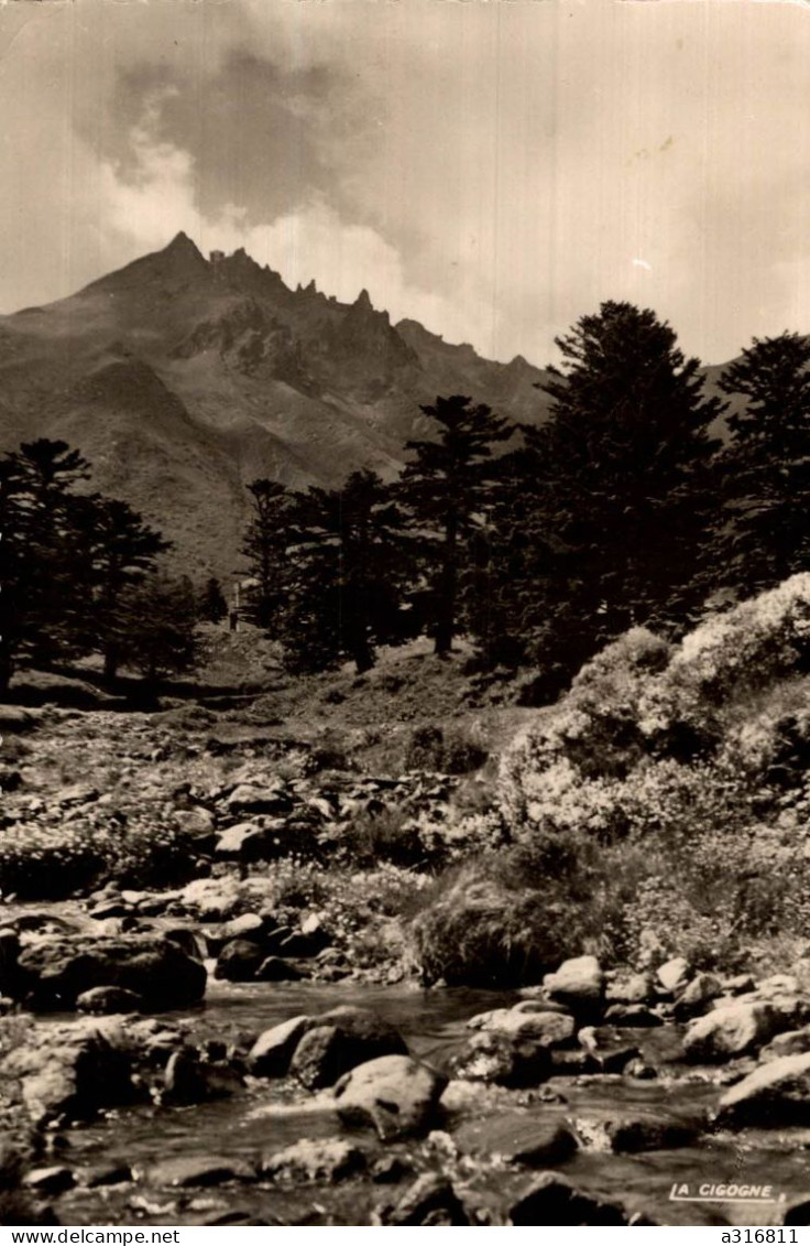 Le Mont Dore La Dordogne Au Pied Du Sancy - Other & Unclassified