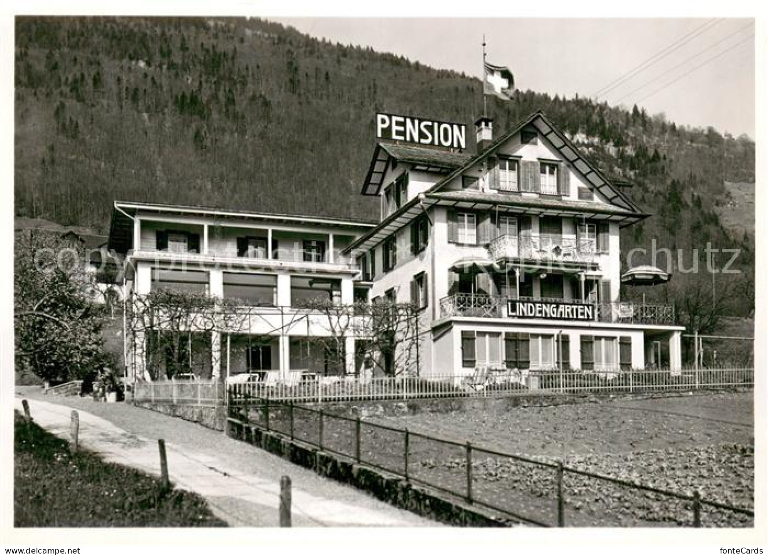 13709672 Weggis Vierwaldstaettersee Pension Lindengarten Weggis Vierwaldstaetter - Sonstige & Ohne Zuordnung