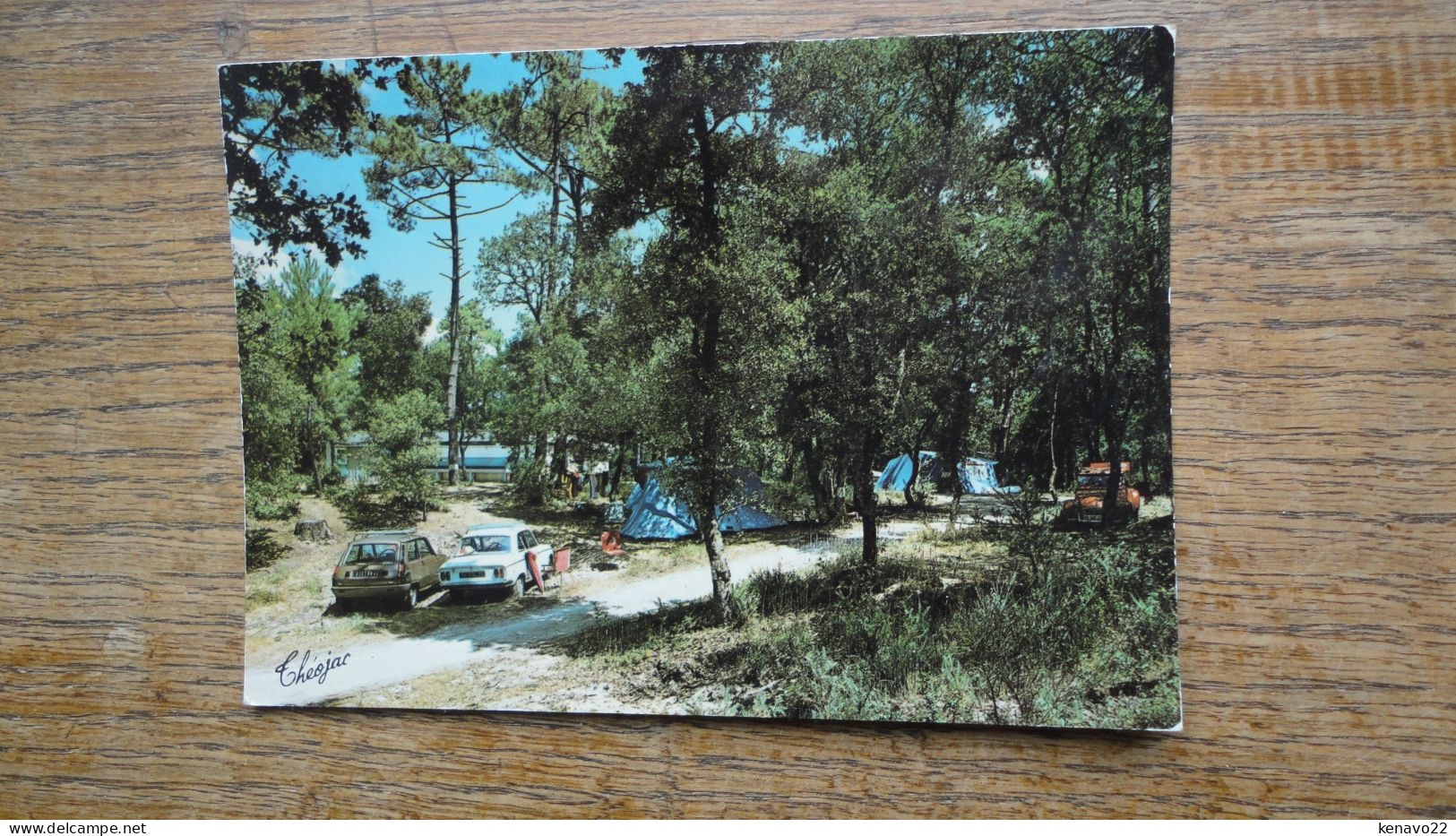 Saint-palais-sur-mer , Camping Du Logis , Une Vue Du Sous Bois - Saint-Palais-sur-Mer