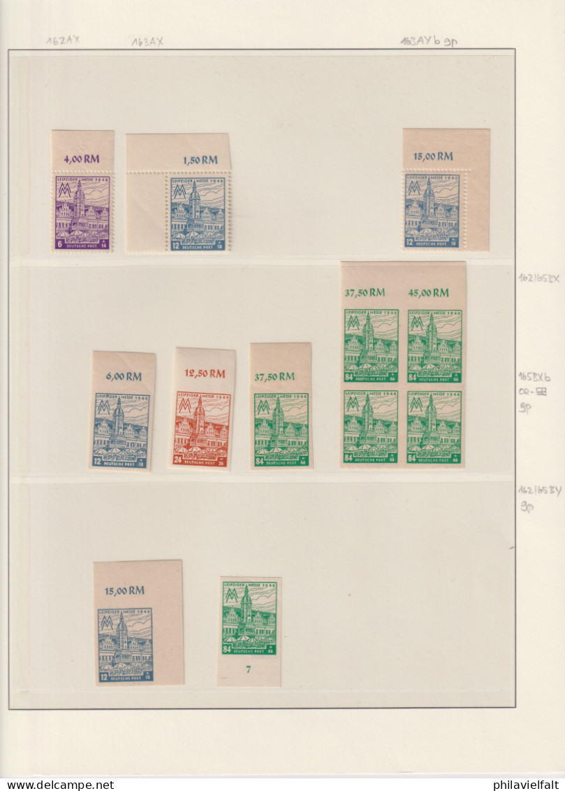 SBZ Spezialsammlung Aus MiNo. 162/65 ** Auf 6 Albenblättern Mit Plattenfehlern/Farben/WZ Usw Teils Geprüft BPP - Mint