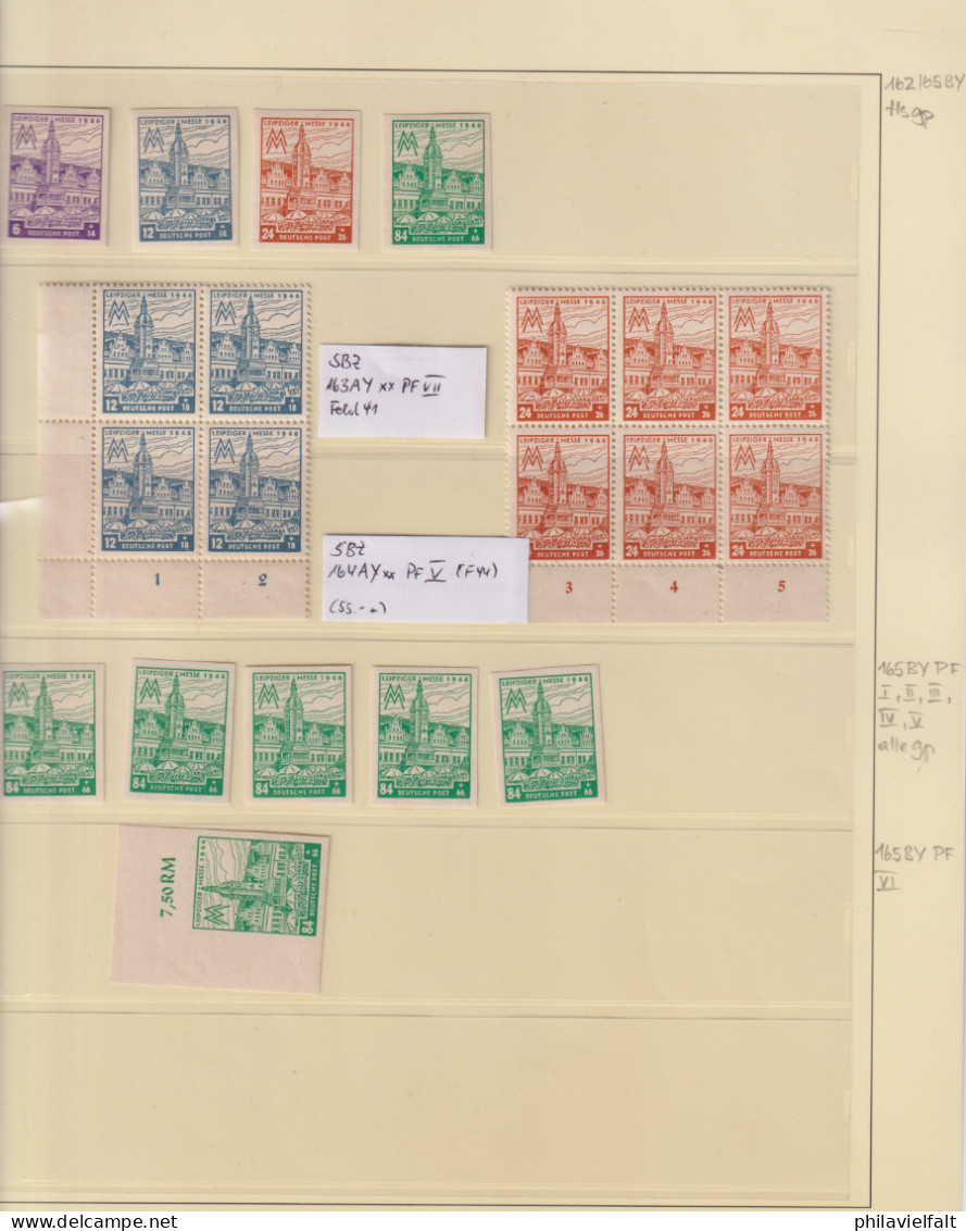 SBZ Spezialsammlung Aus MiNo. 162/65 ** Auf 6 Albenblättern Mit Plattenfehlern/Farben/WZ Usw Teils Geprüft BPP - Mint